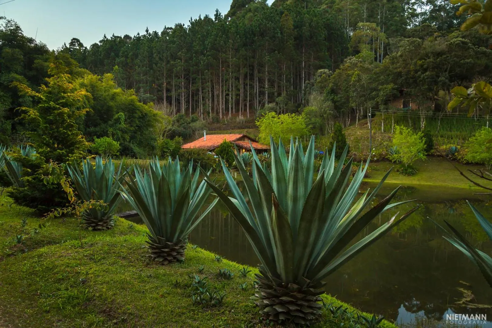 Natural landscape in Pousada da Oma