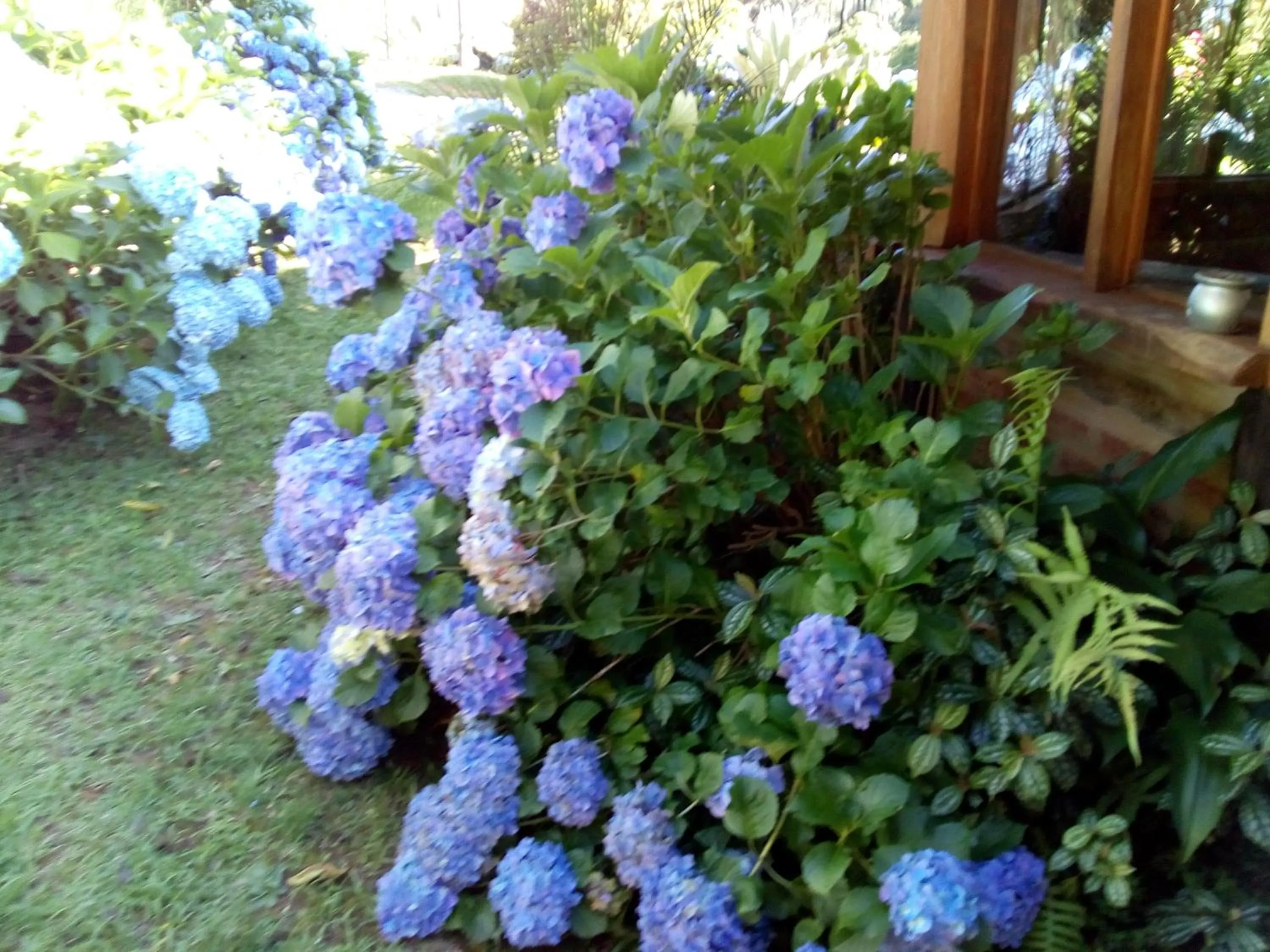 Pousada da Oma