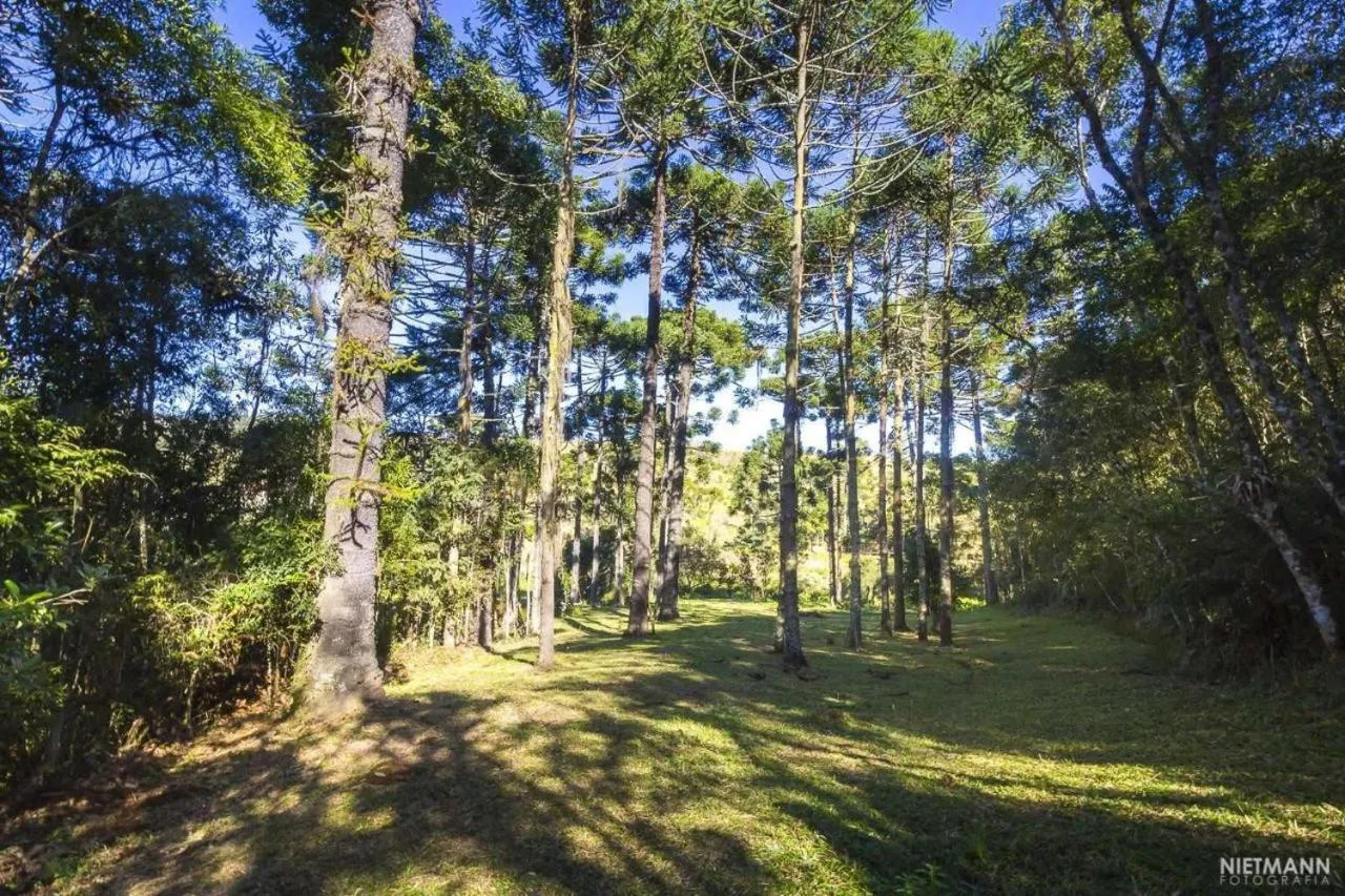 Natural landscape in Pousada da Oma