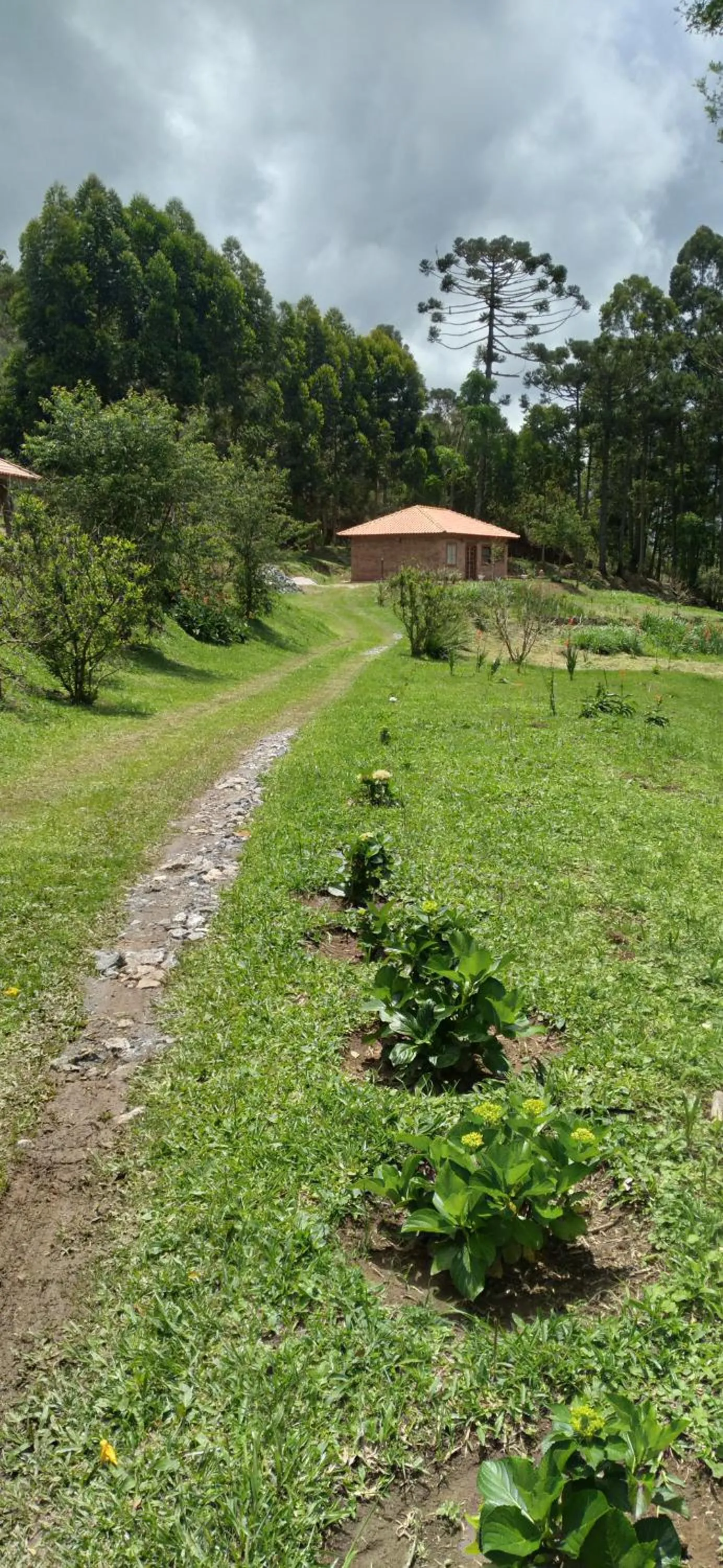 Natural landscape in Pousada da Oma