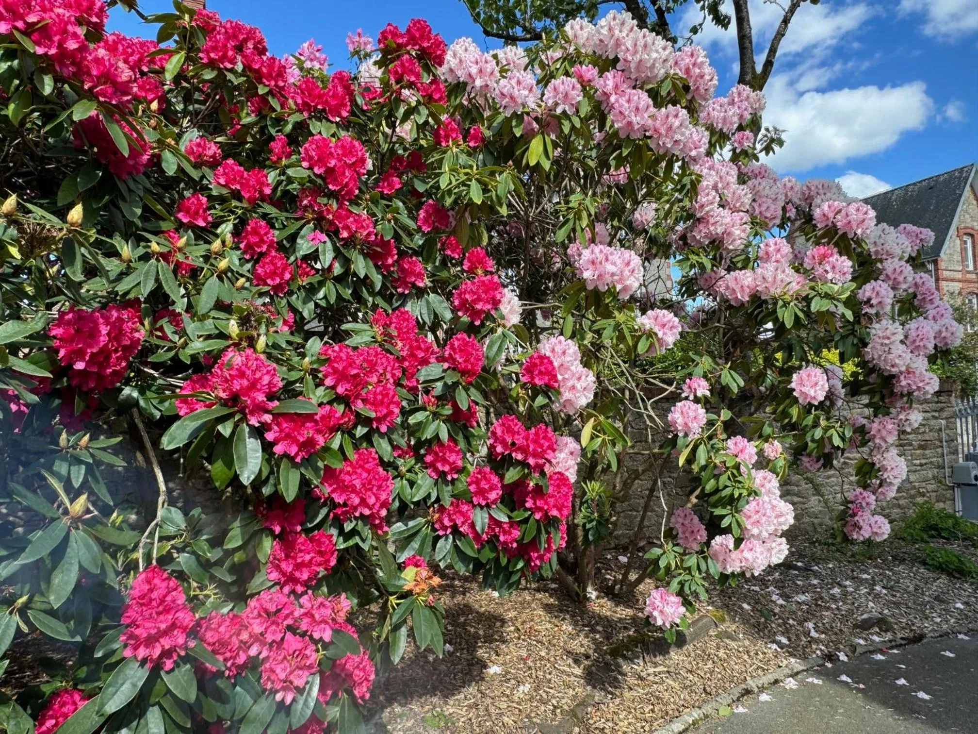 Spring in Auberge Ti'gousket
