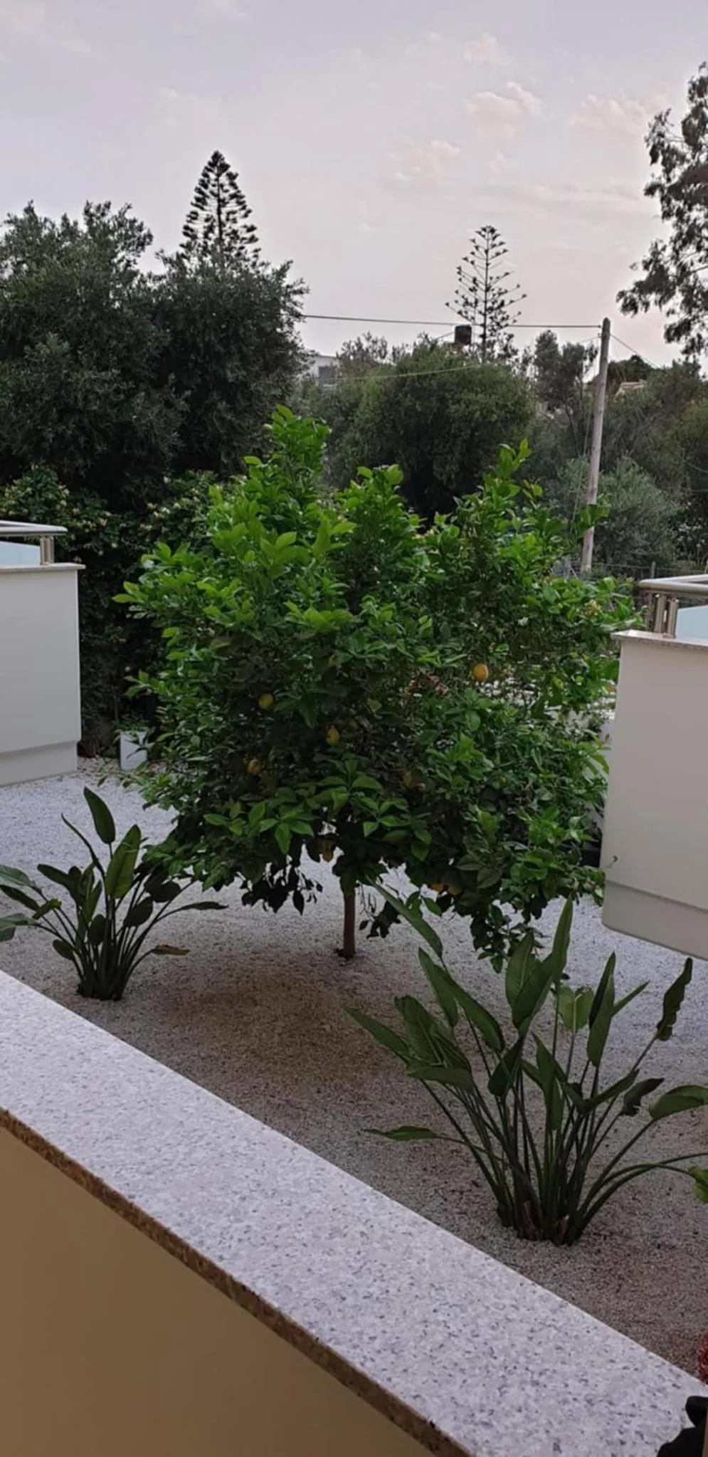 Garden in Evriali Comfort Living