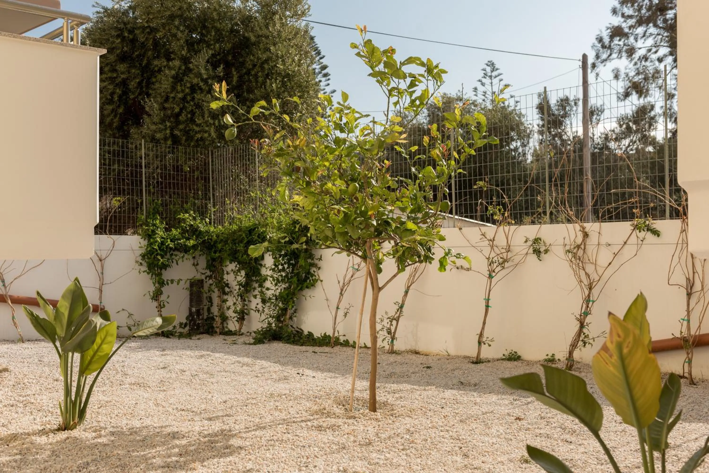 Garden in Evriali Comfort Living
