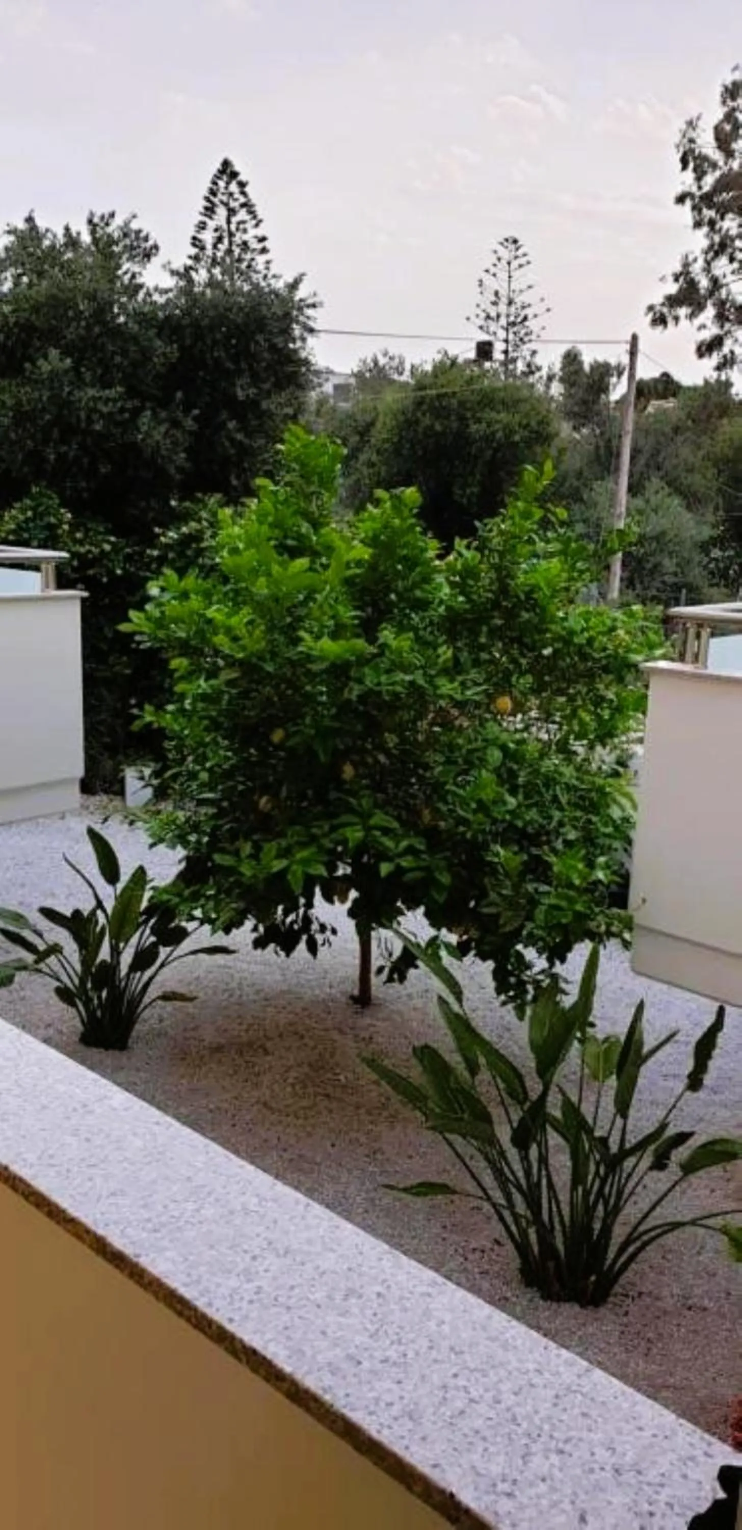Property building in Evriali Comfort Living