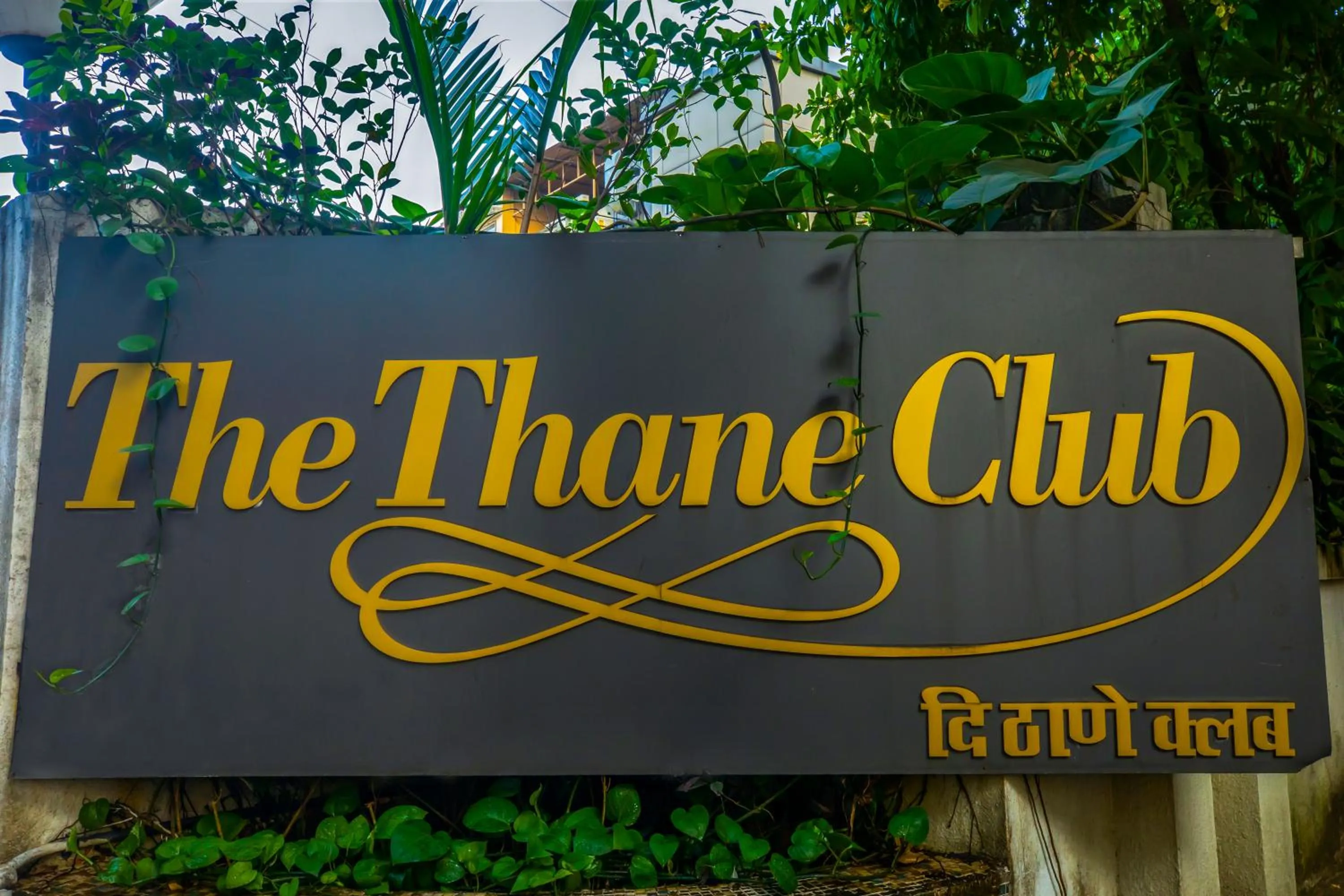 Property logo or sign in The Thane Club