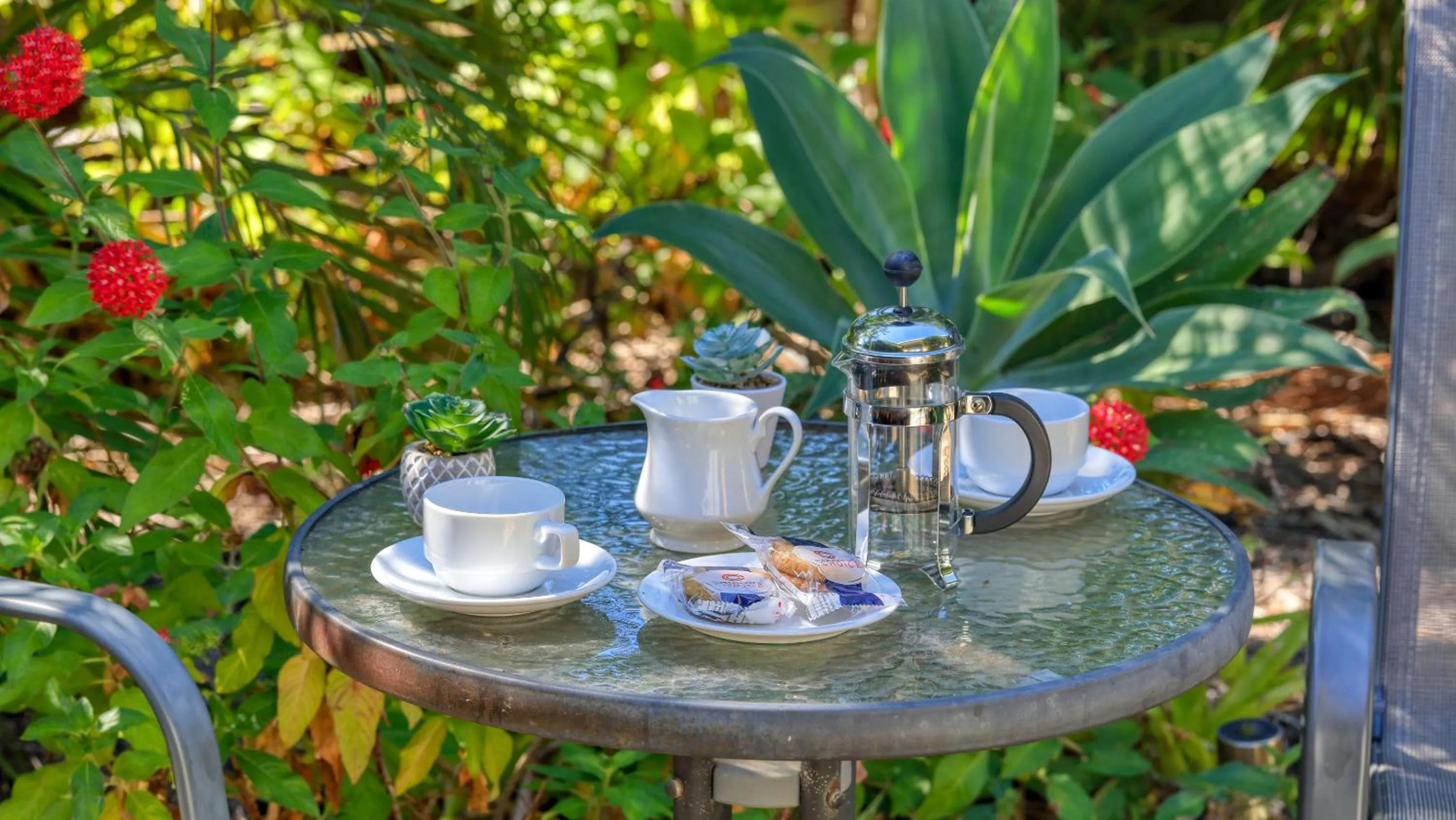 Garden in Emerald Gardens Motel & Apartments