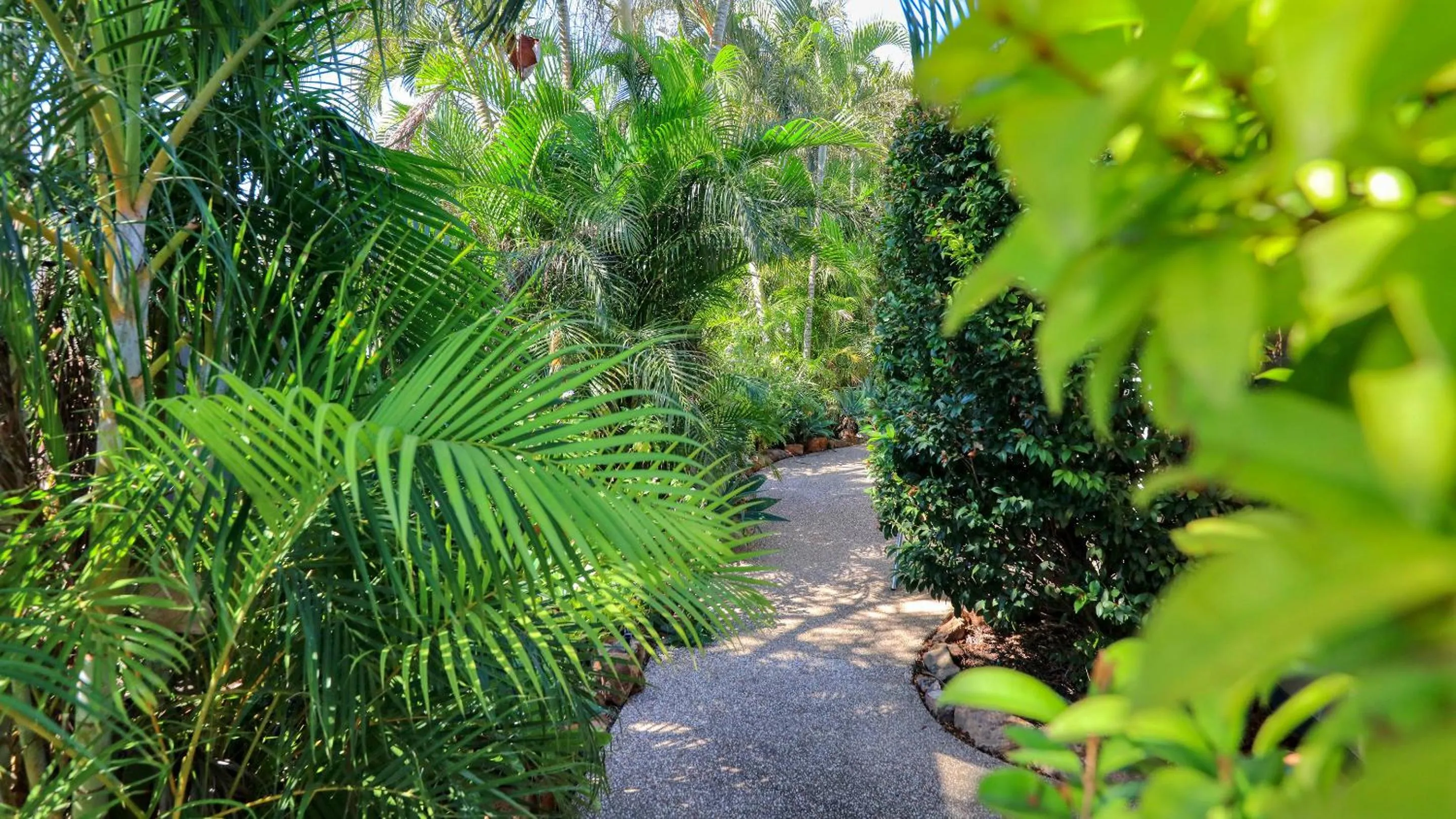Garden in Emerald Gardens Motel & Apartments
