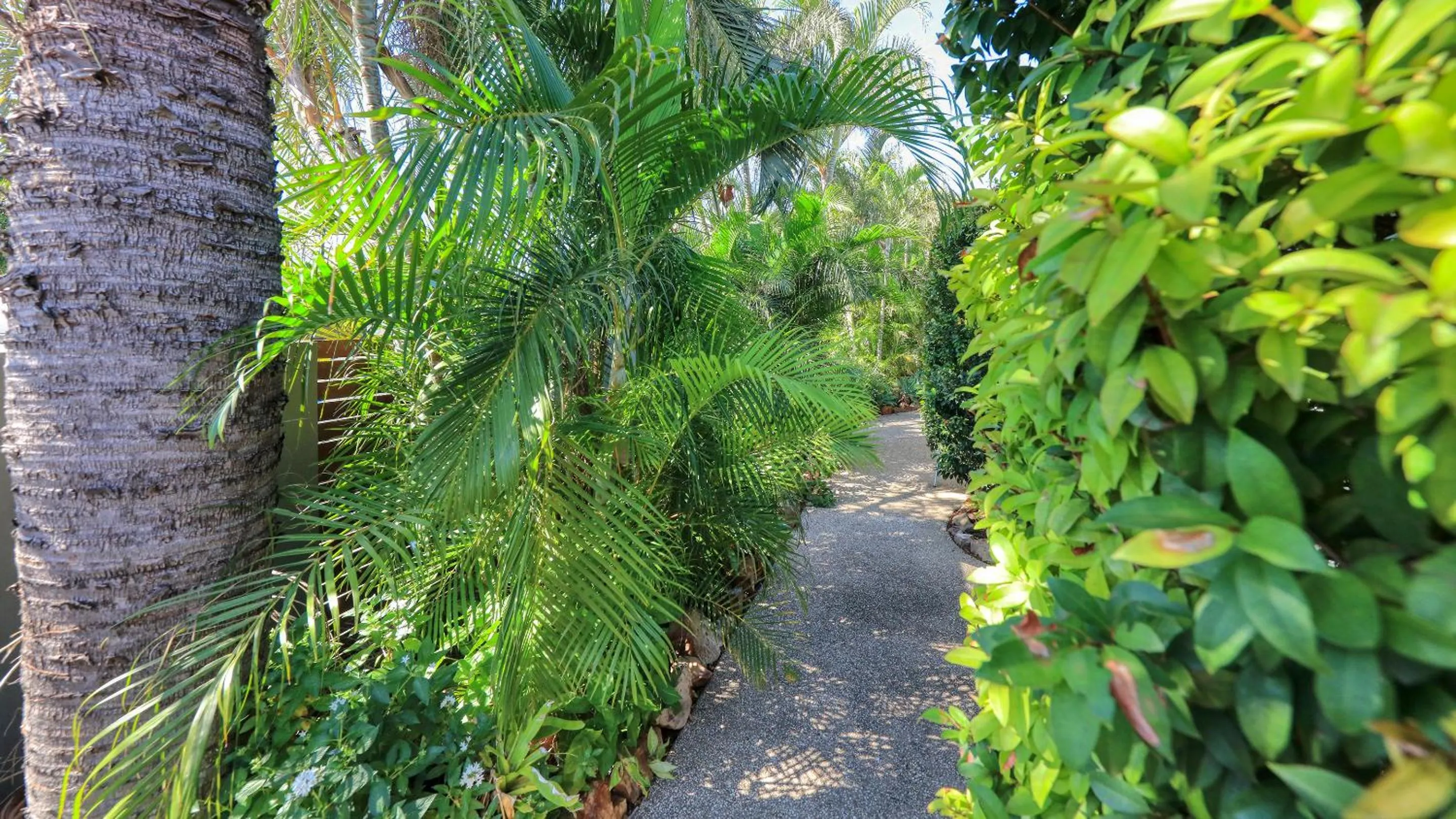 Garden in Emerald Gardens Motel & Apartments
