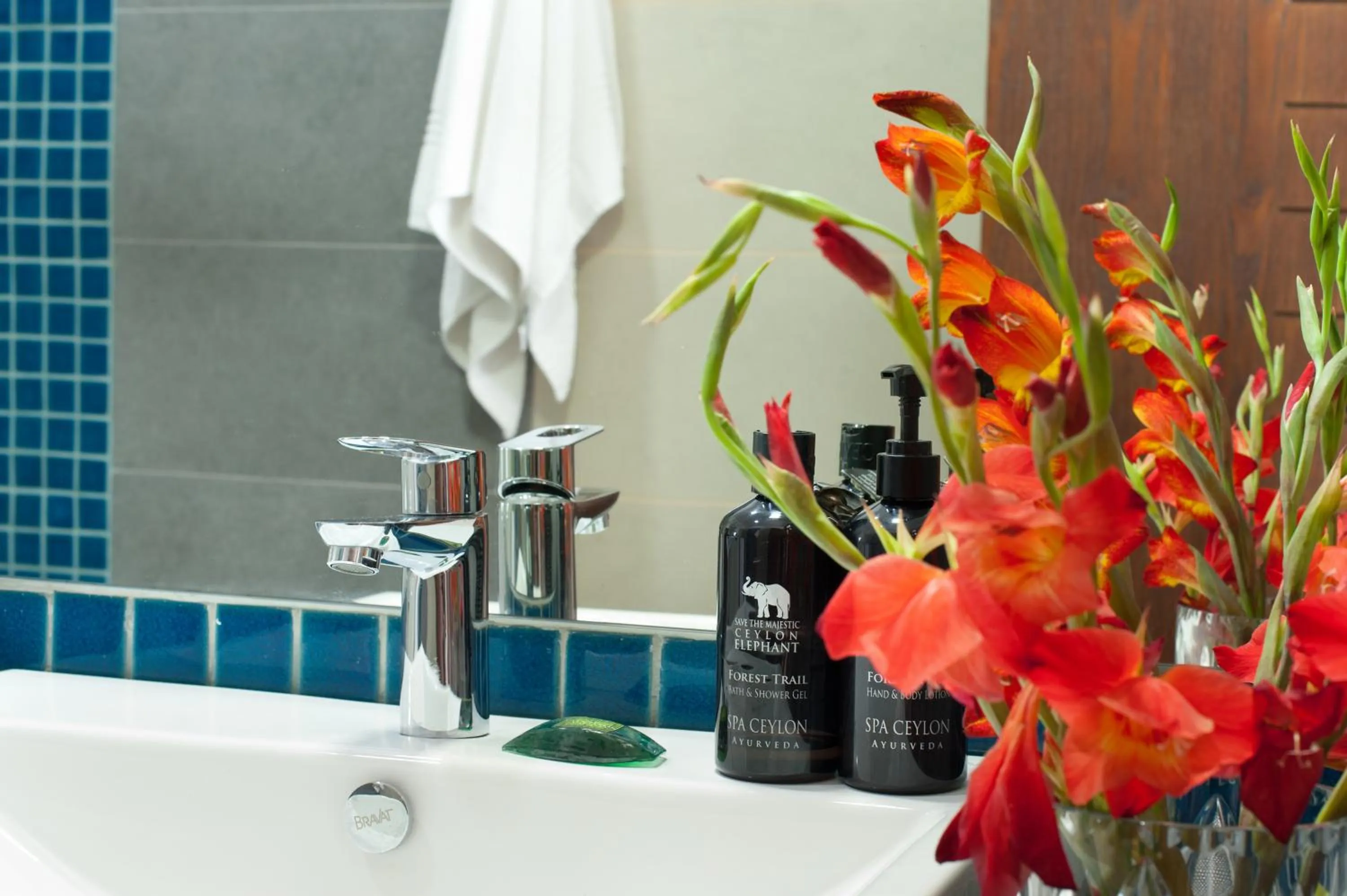 Bathroom in The Beach Apartments