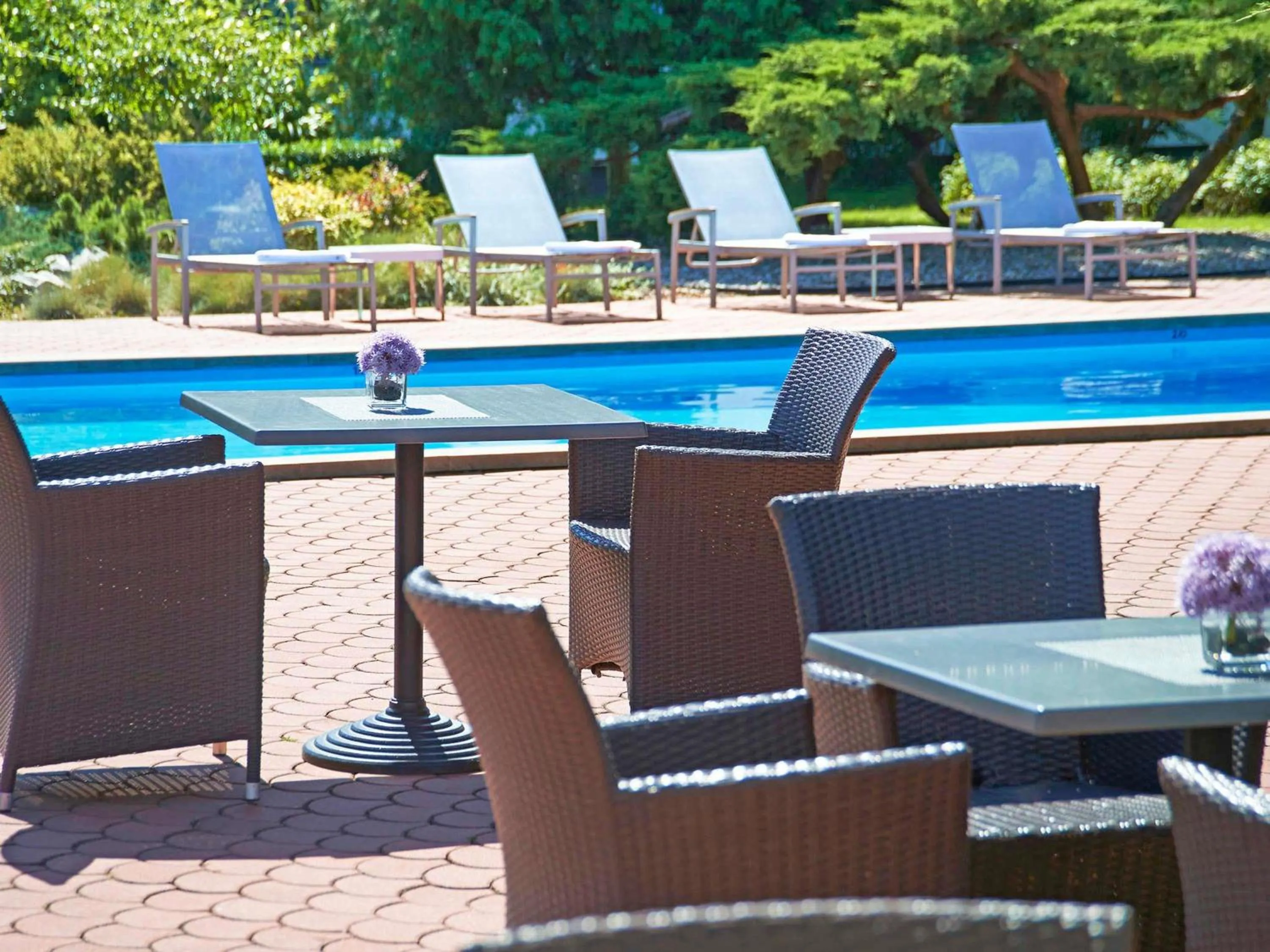 Pool view in Novotel Poznań Malta