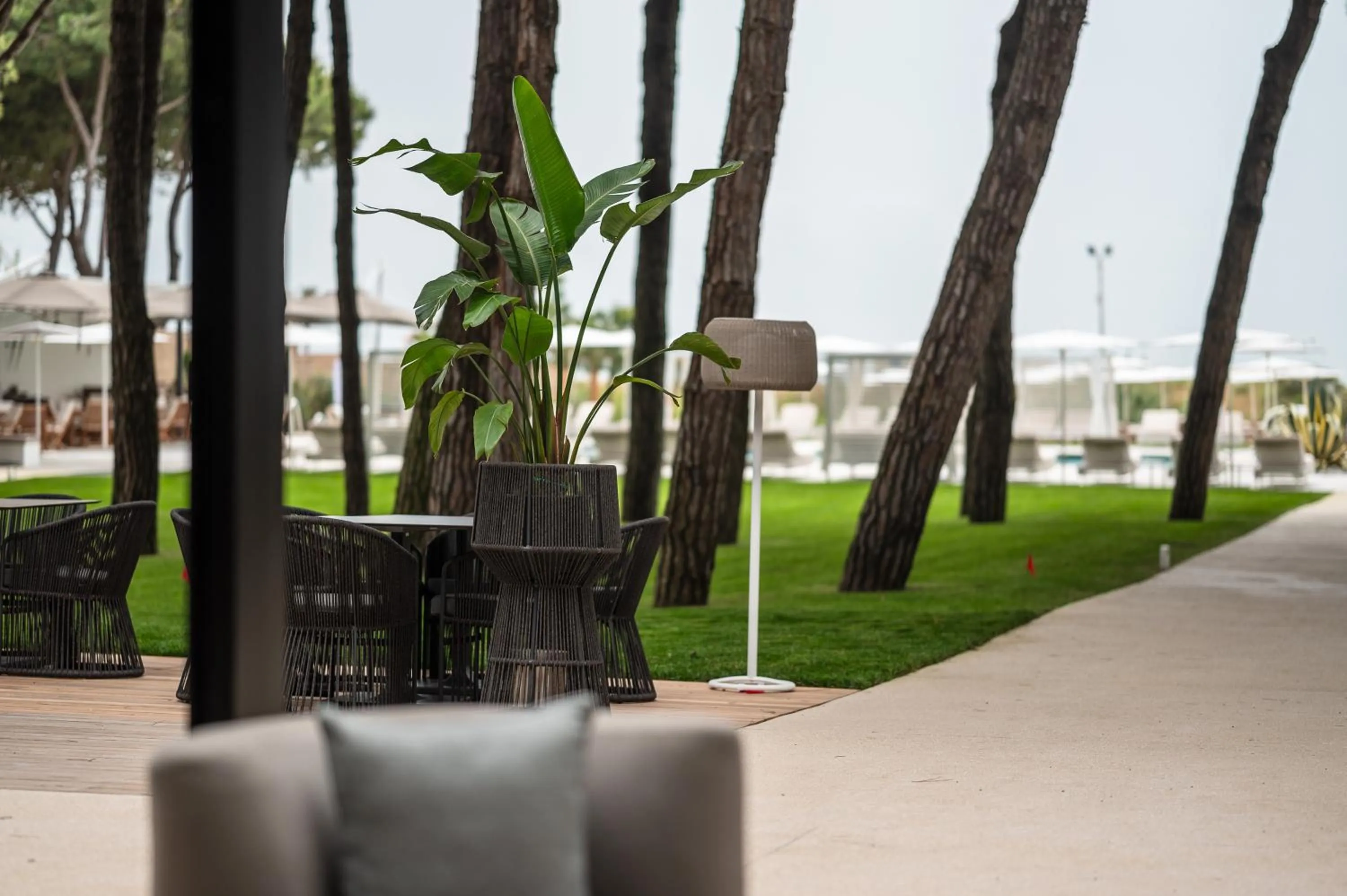 Restaurant/places to eat in Bellevue Hotel & Resort