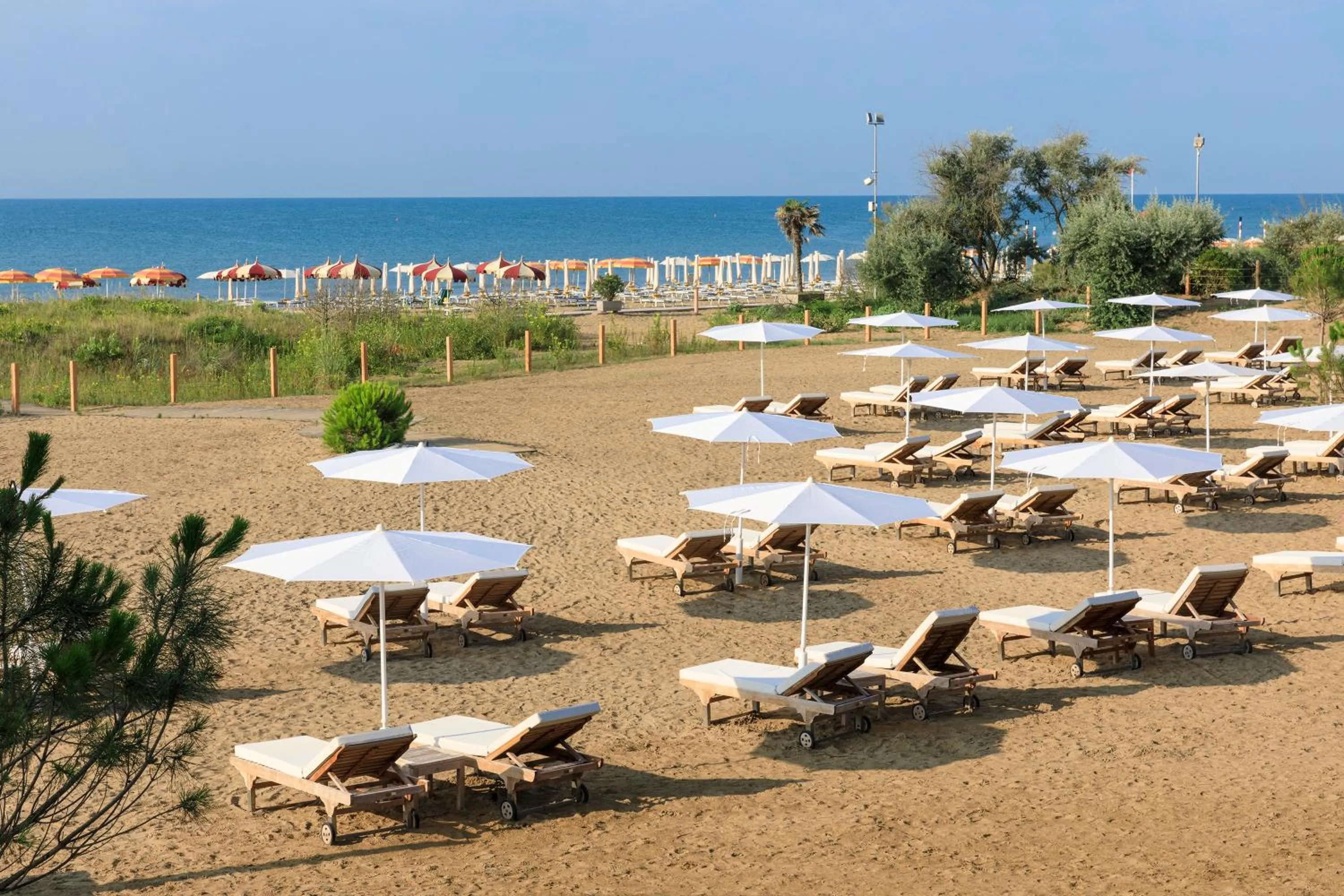 Activities in Bellevue Hotel & Resort