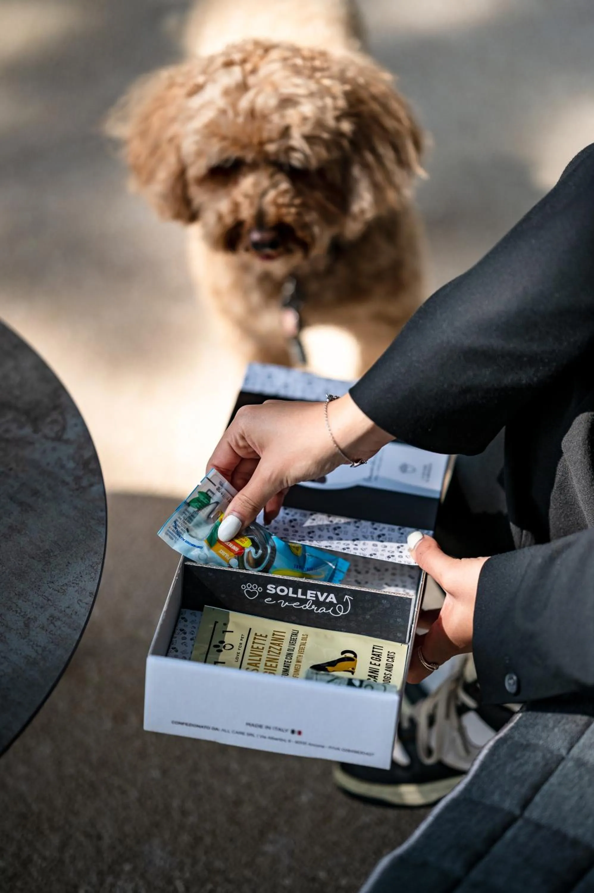 Pets in Bellevue Hotel & Resort