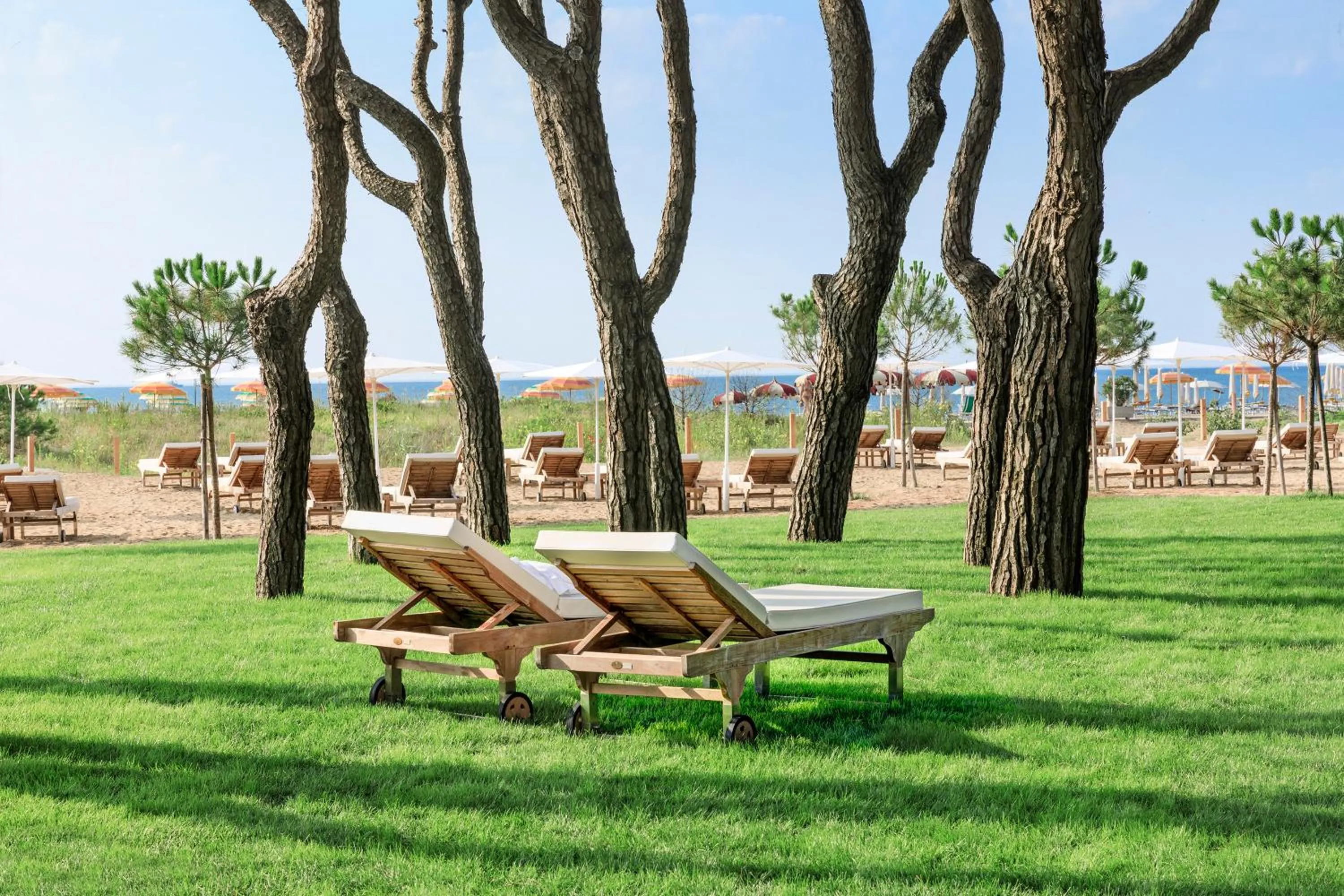 Garden in Bellevue Hotel & Resort