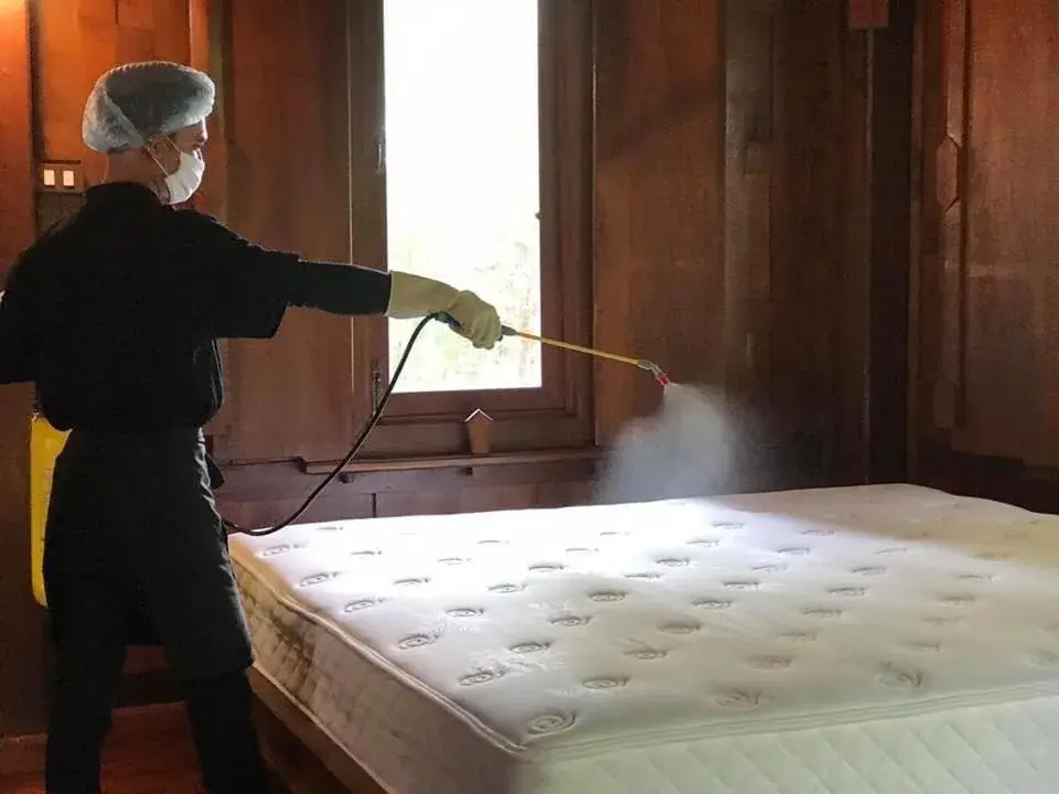 Activities, Bed in Ayutthaya retreat Activities, Bed in Ayutthaya retreat