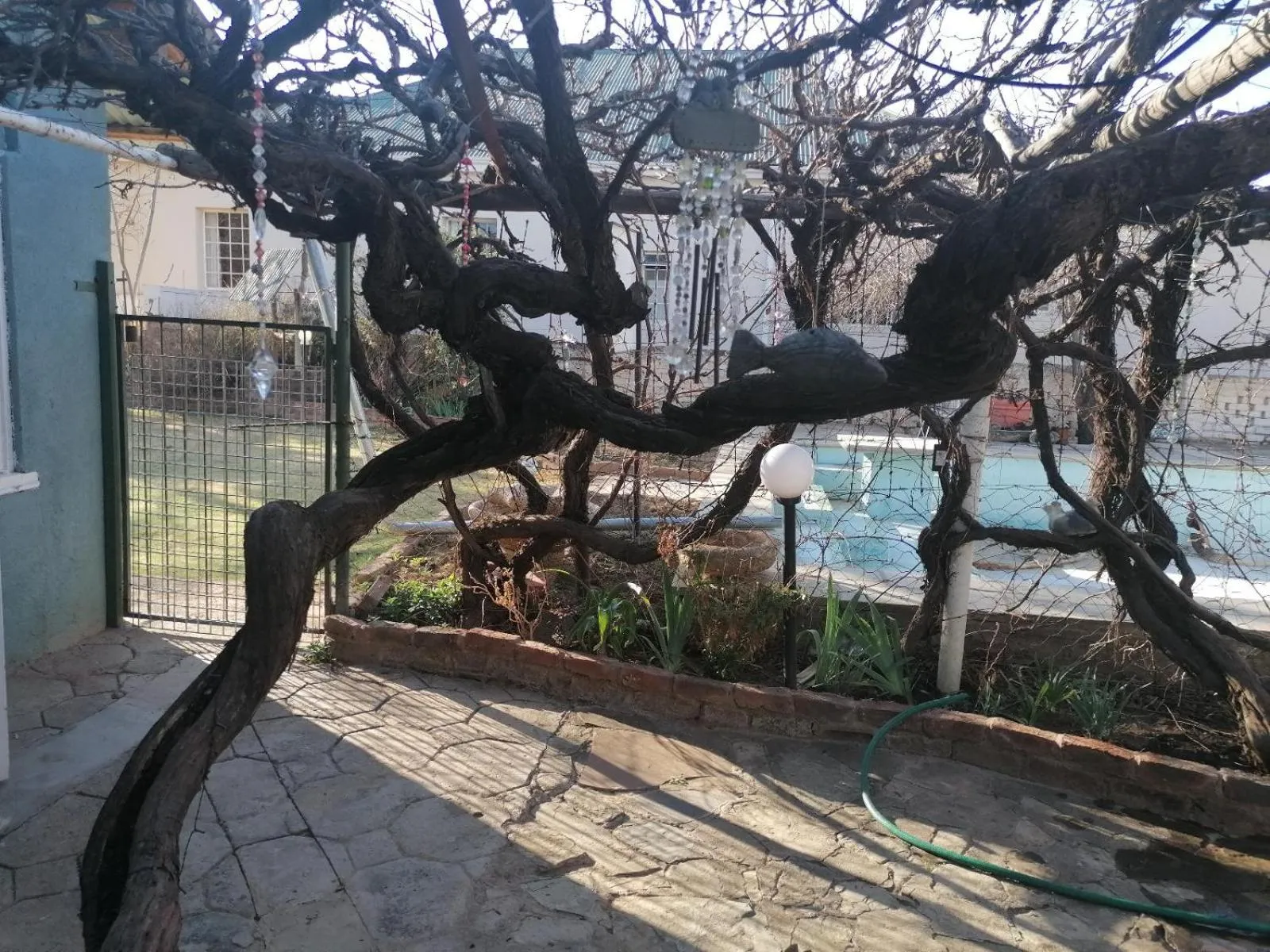 Garden view in Anker Guesthouse