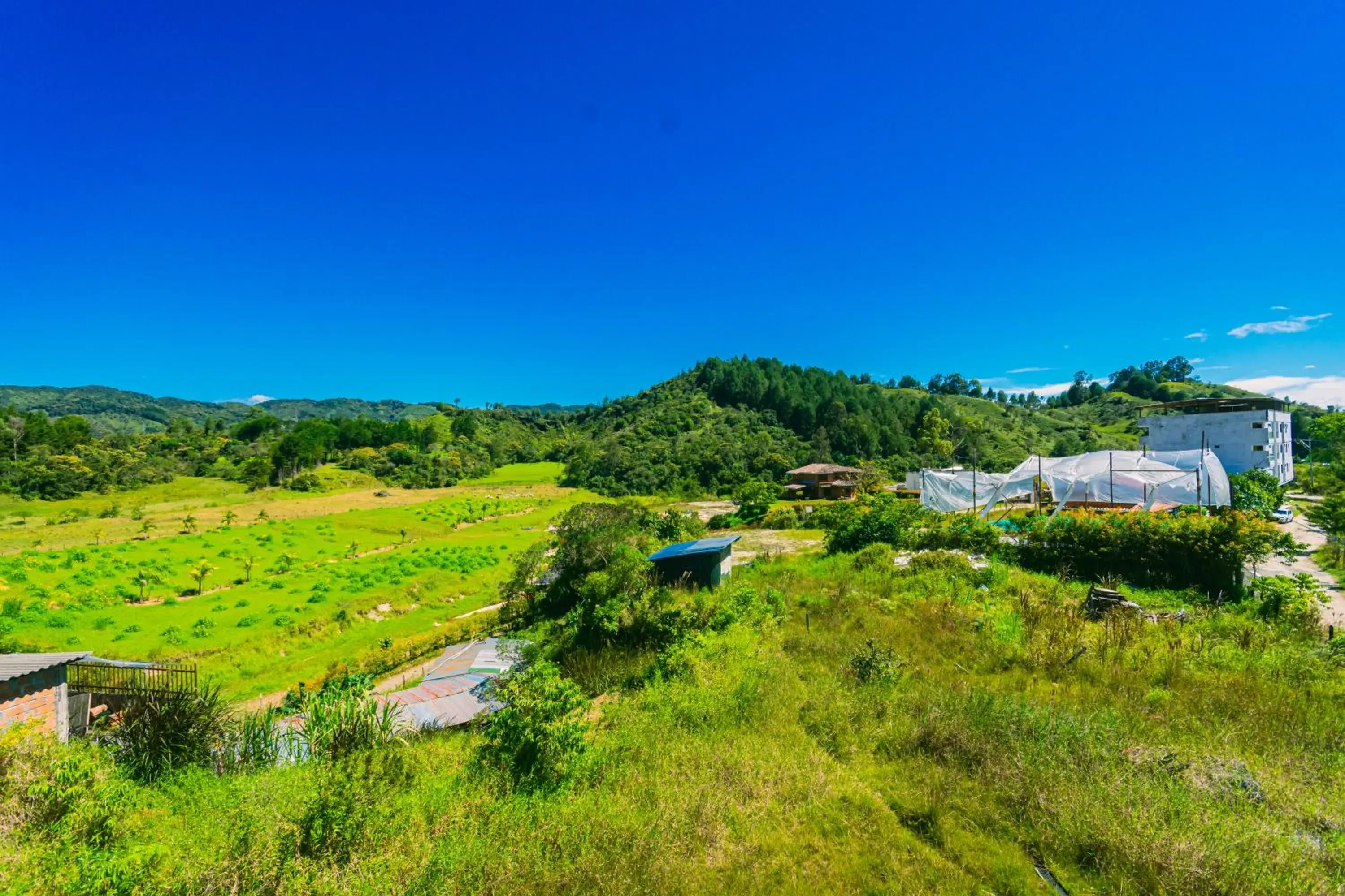 Garden view in Hotel Bambu Guatape Garden view in Hotel Bambu Guatape