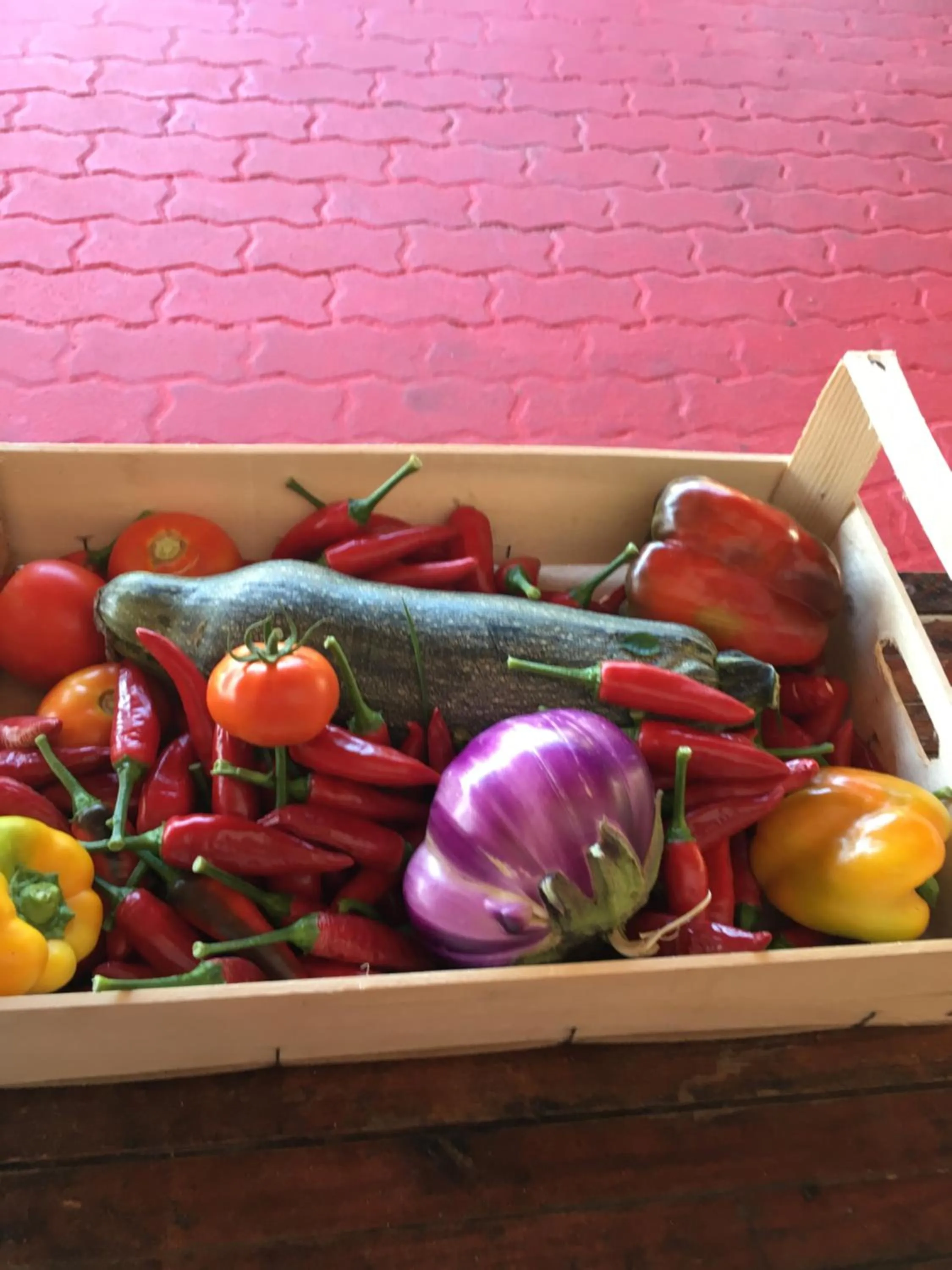 Restaurant/places to eat in Villaggio Camping La Scogliera