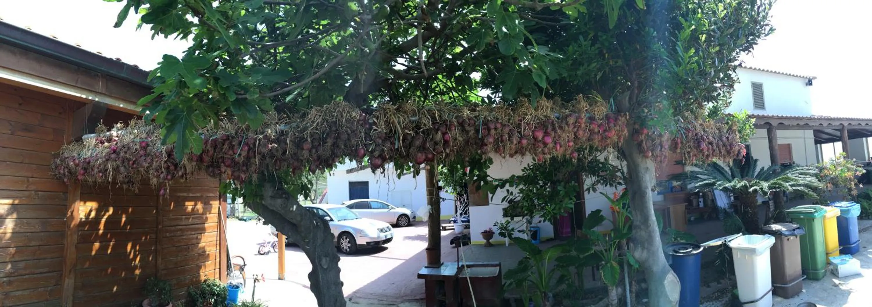 On site in Villaggio Camping La Scogliera