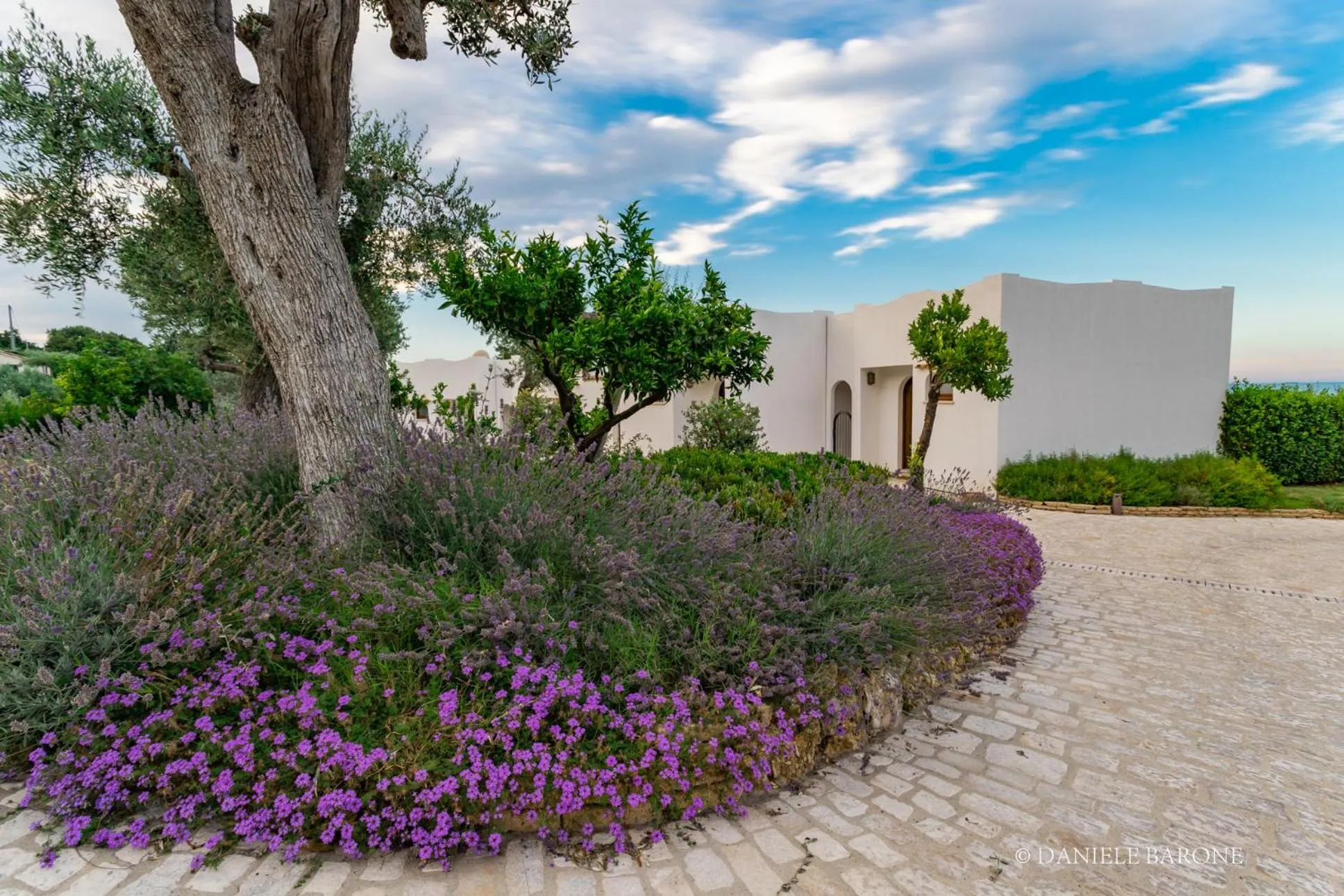 Garden in Baia Delphis Resort