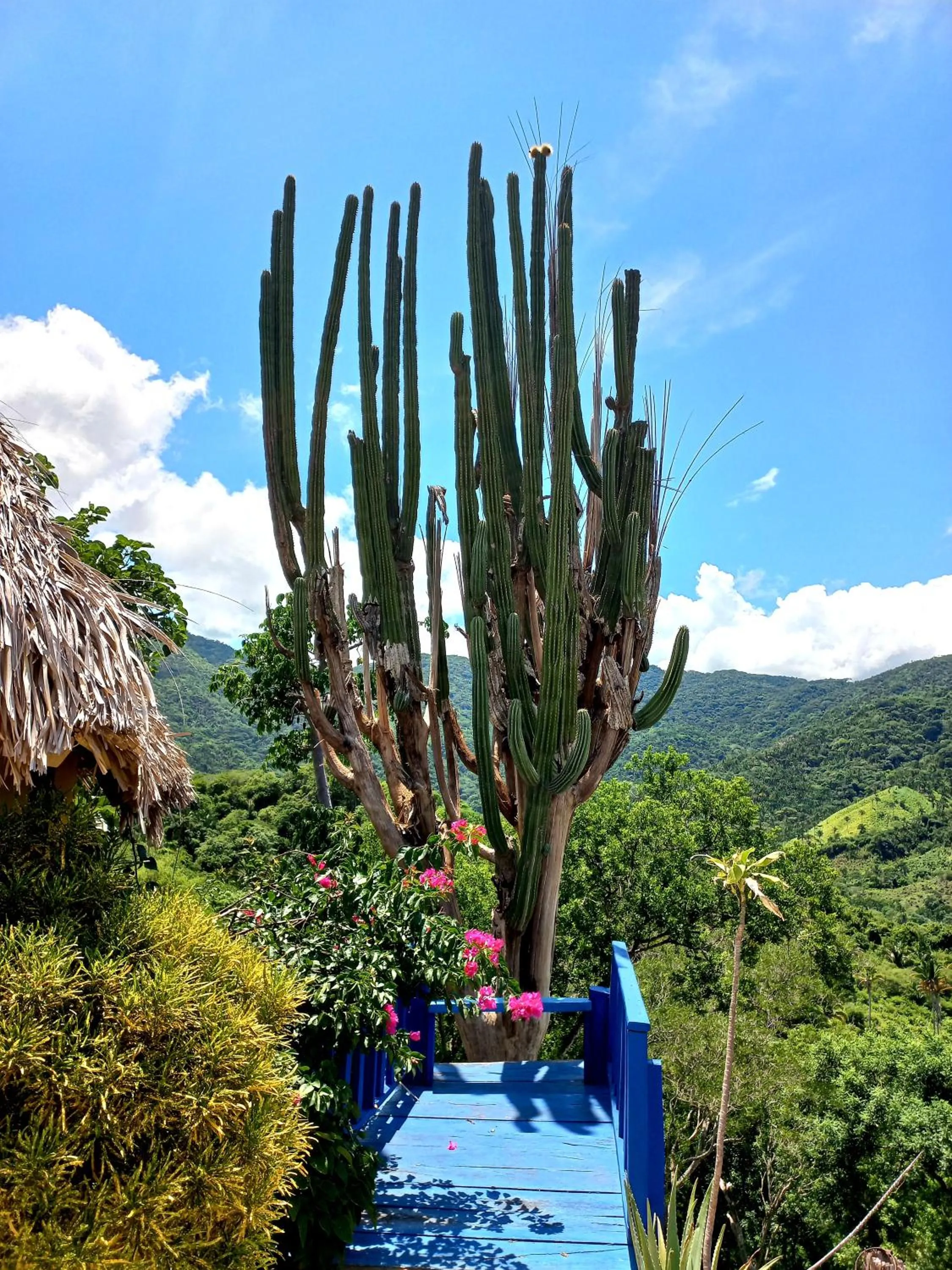 Treasure by the Sea Resort - Happy Hill