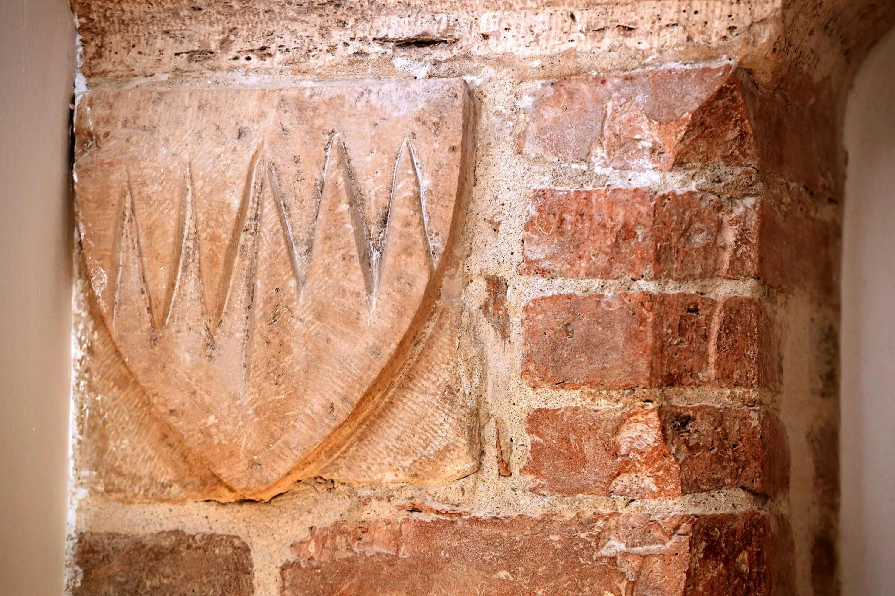 Landmark view in Little Italy Hostel Ex Chiesa S Donato