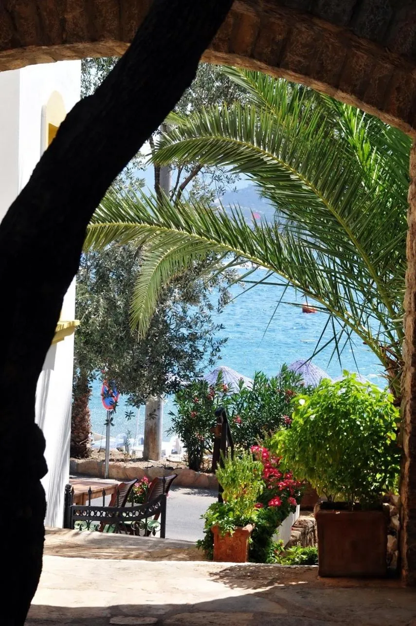 Day in Omar Hotel & Suites