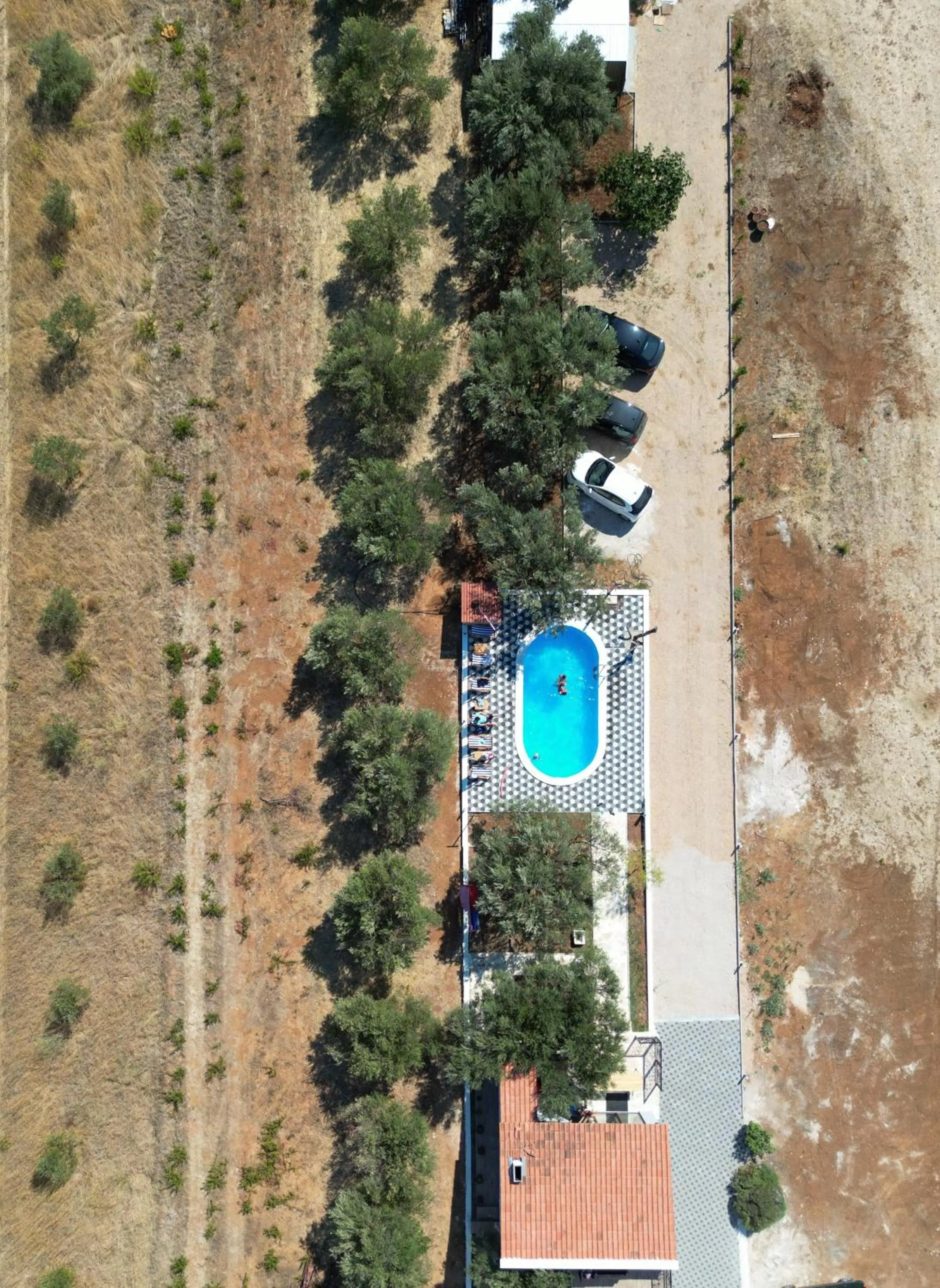 Apartments Olea