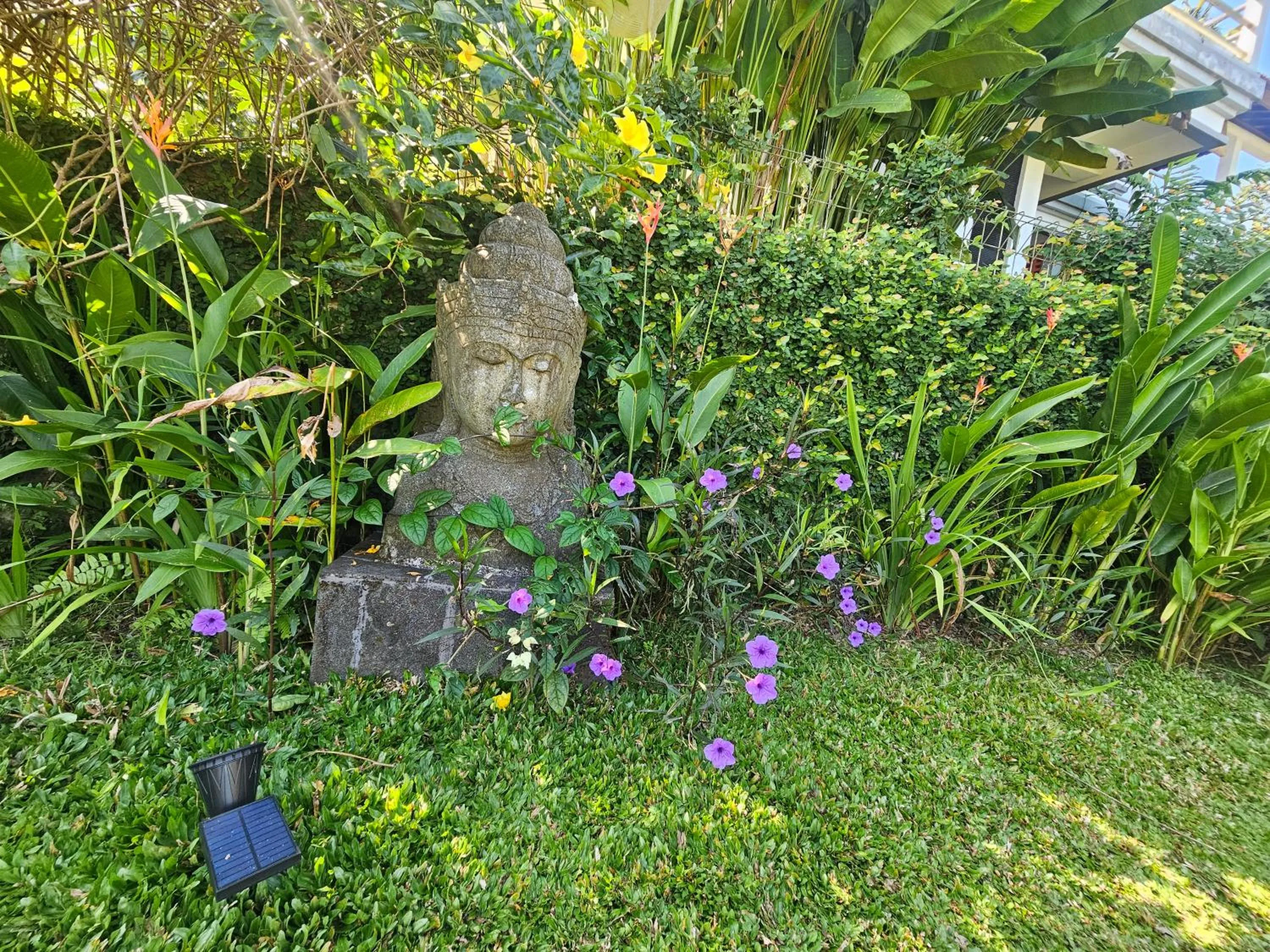 Garden in Villa Markisa Pakisan