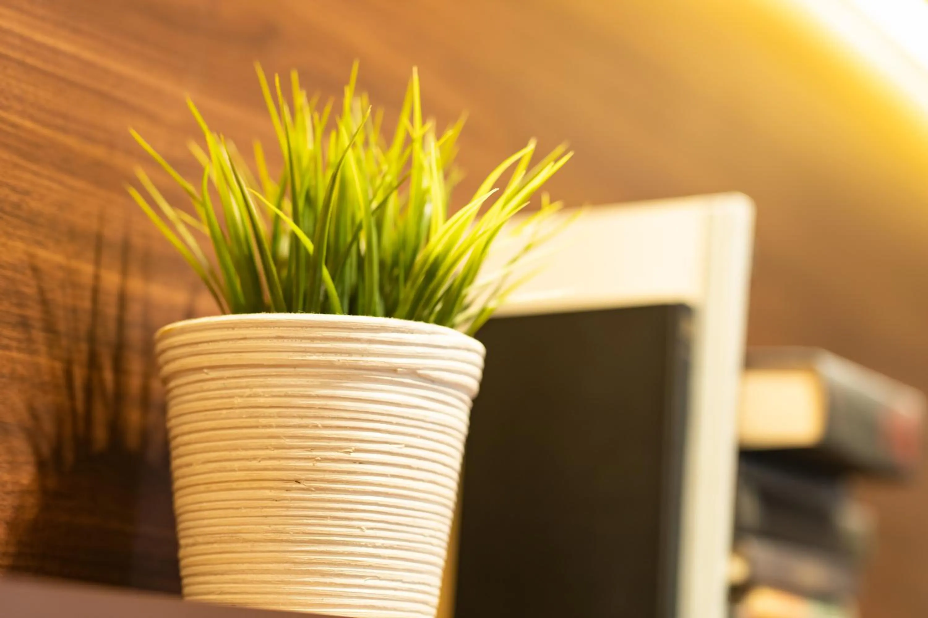 Communal lounge/ TV room in First Cabin Haneda Terminal 1