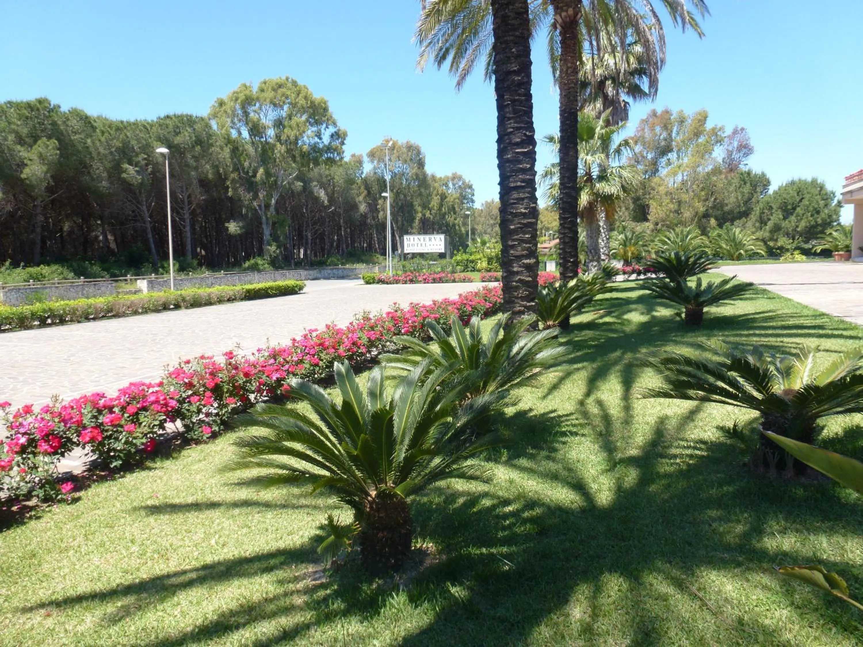 Property building in Minerva Resort Hotel