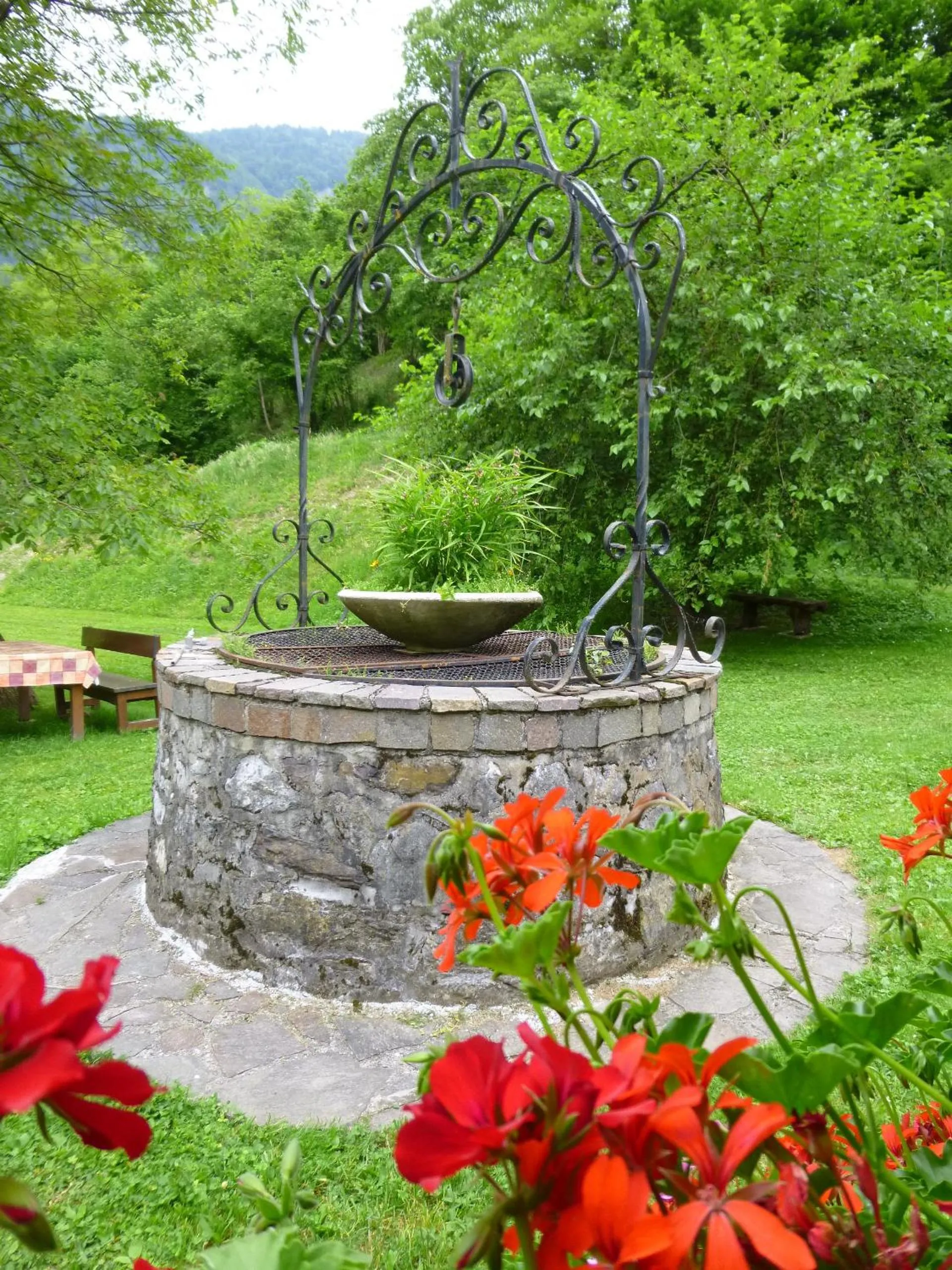 Garden in Hotel Park Oasi