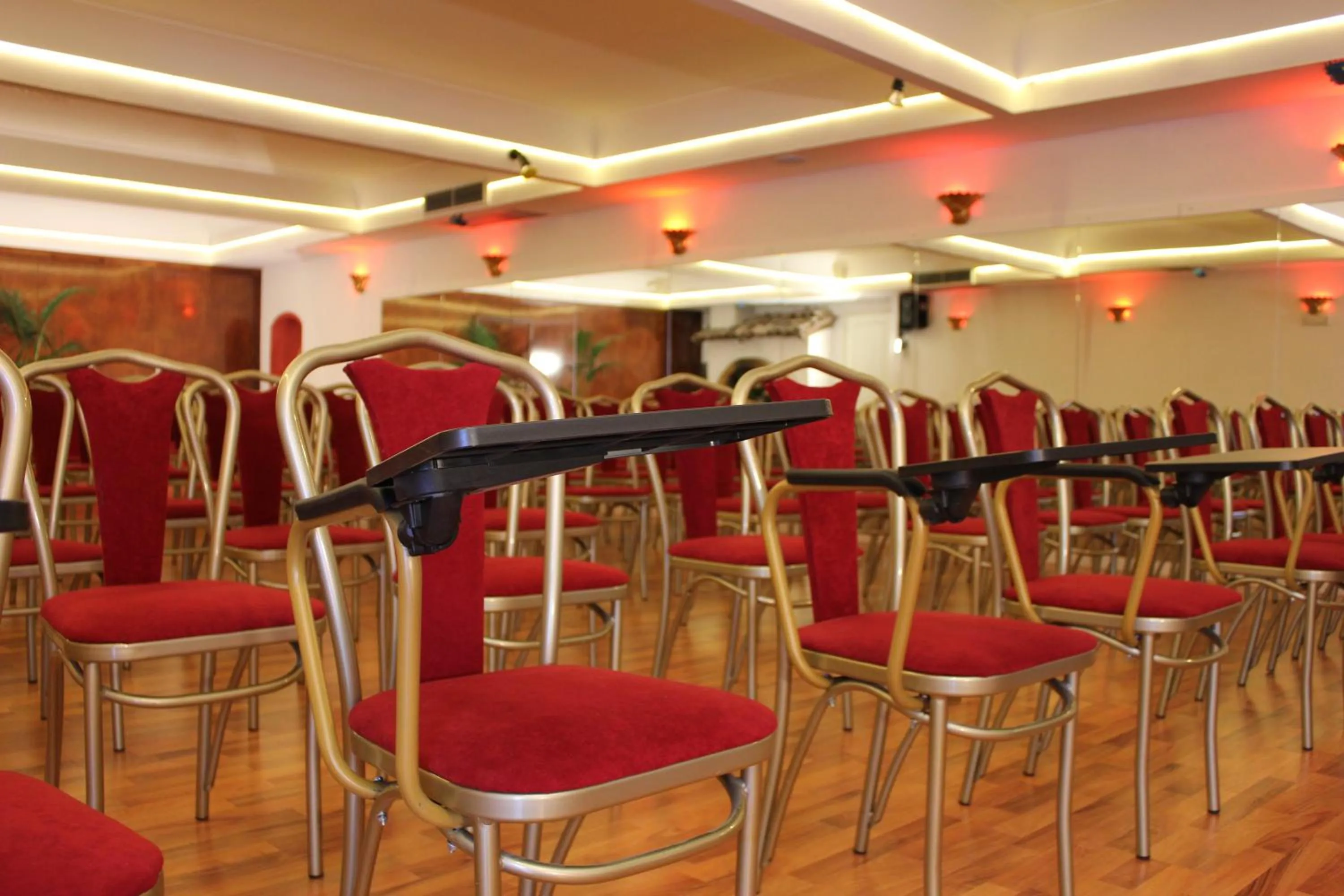 Meeting/conference room in Hotel Romulus