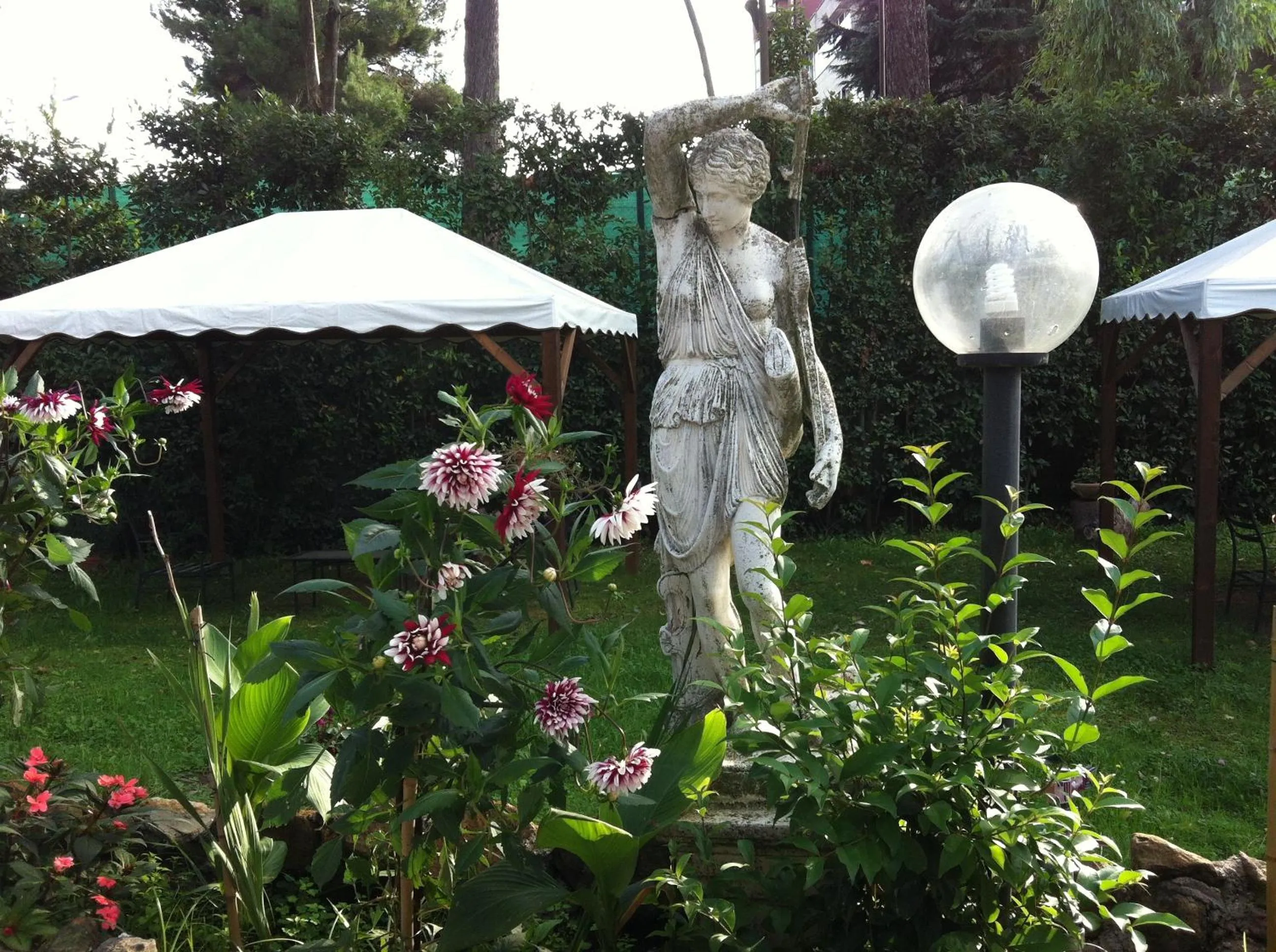 Garden in Hotel Romulus