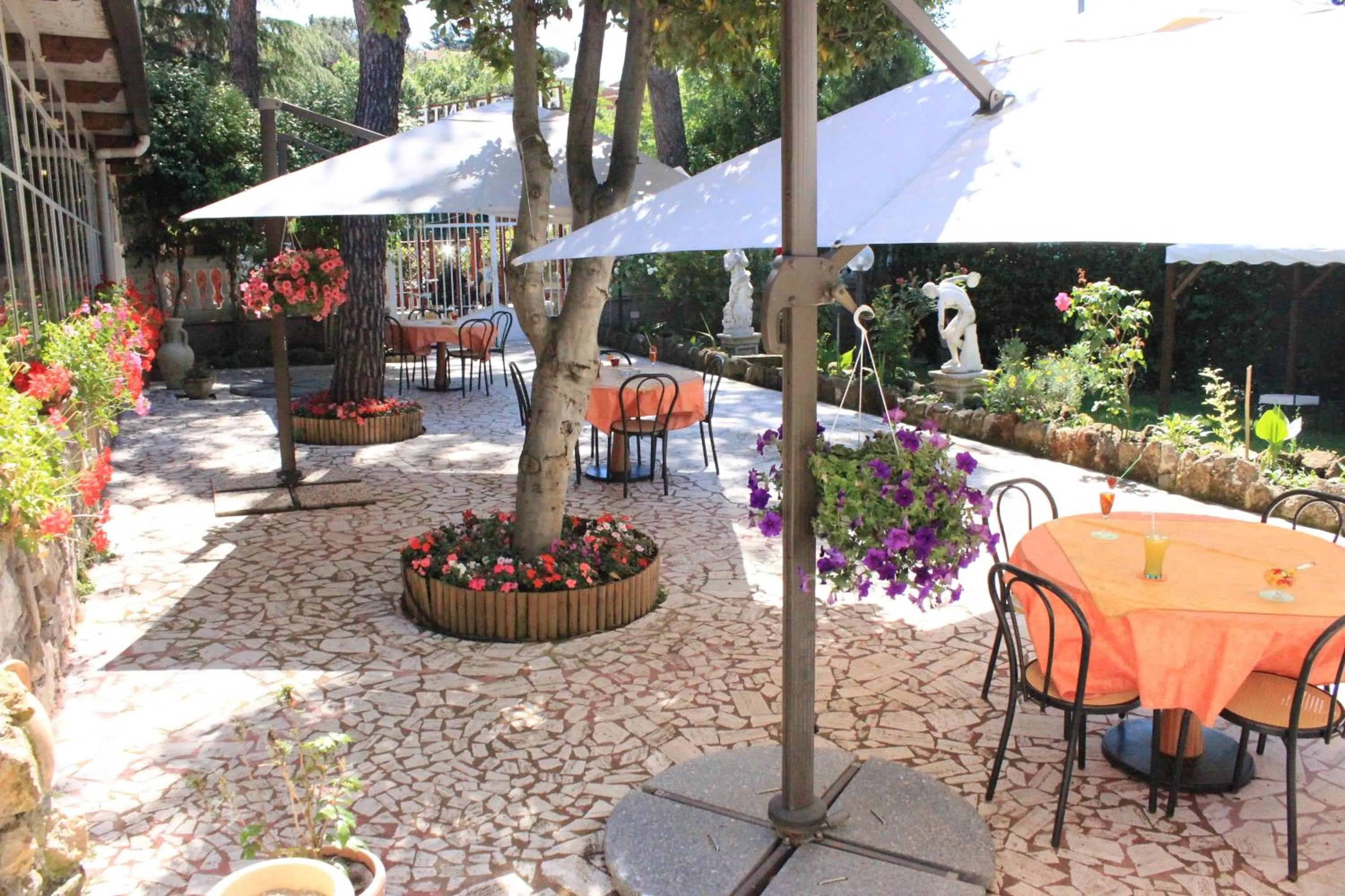 Garden in Hotel Romulus