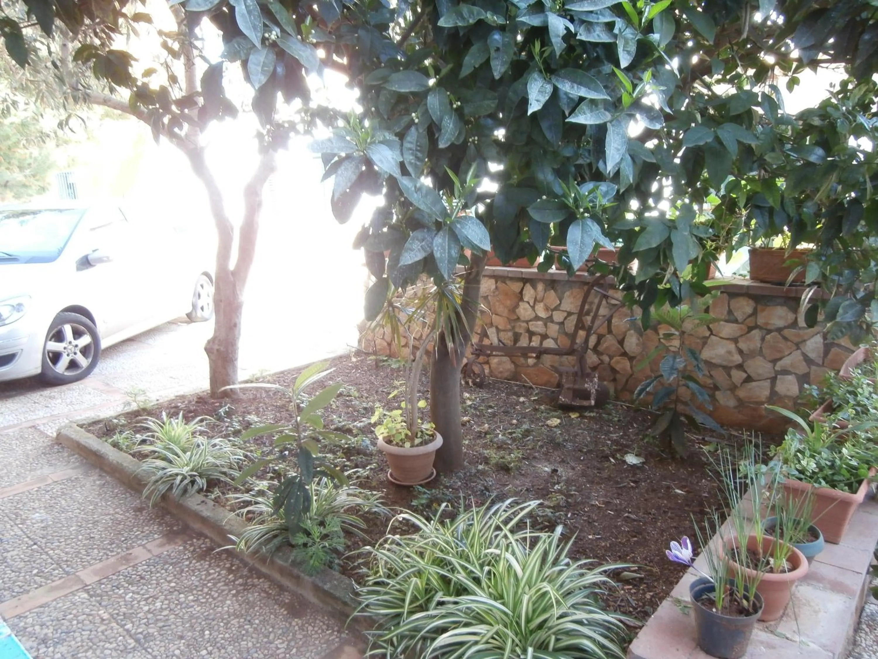 Facade/entrance in Busalacchi B&B