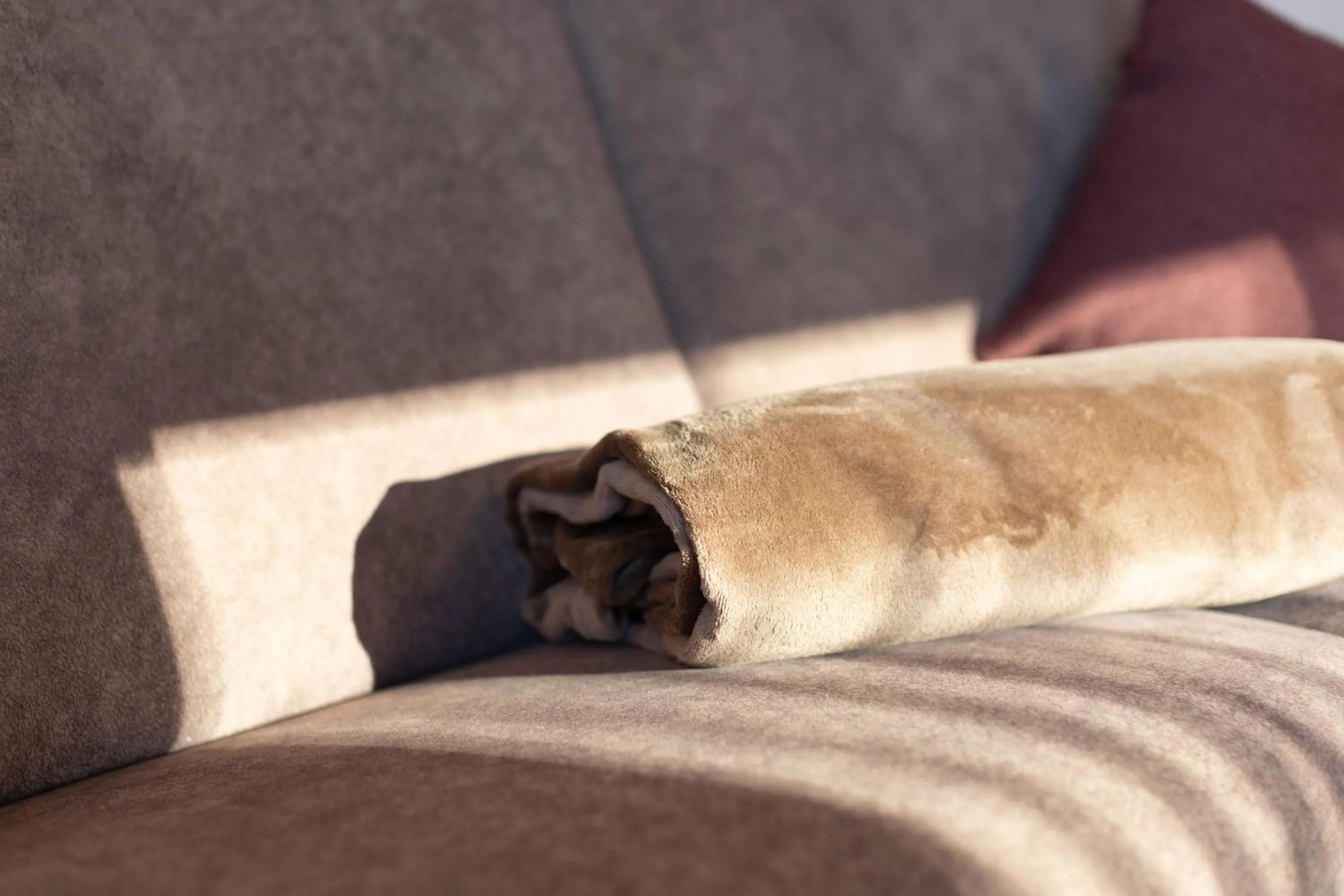 Living room in Residence Walchhof