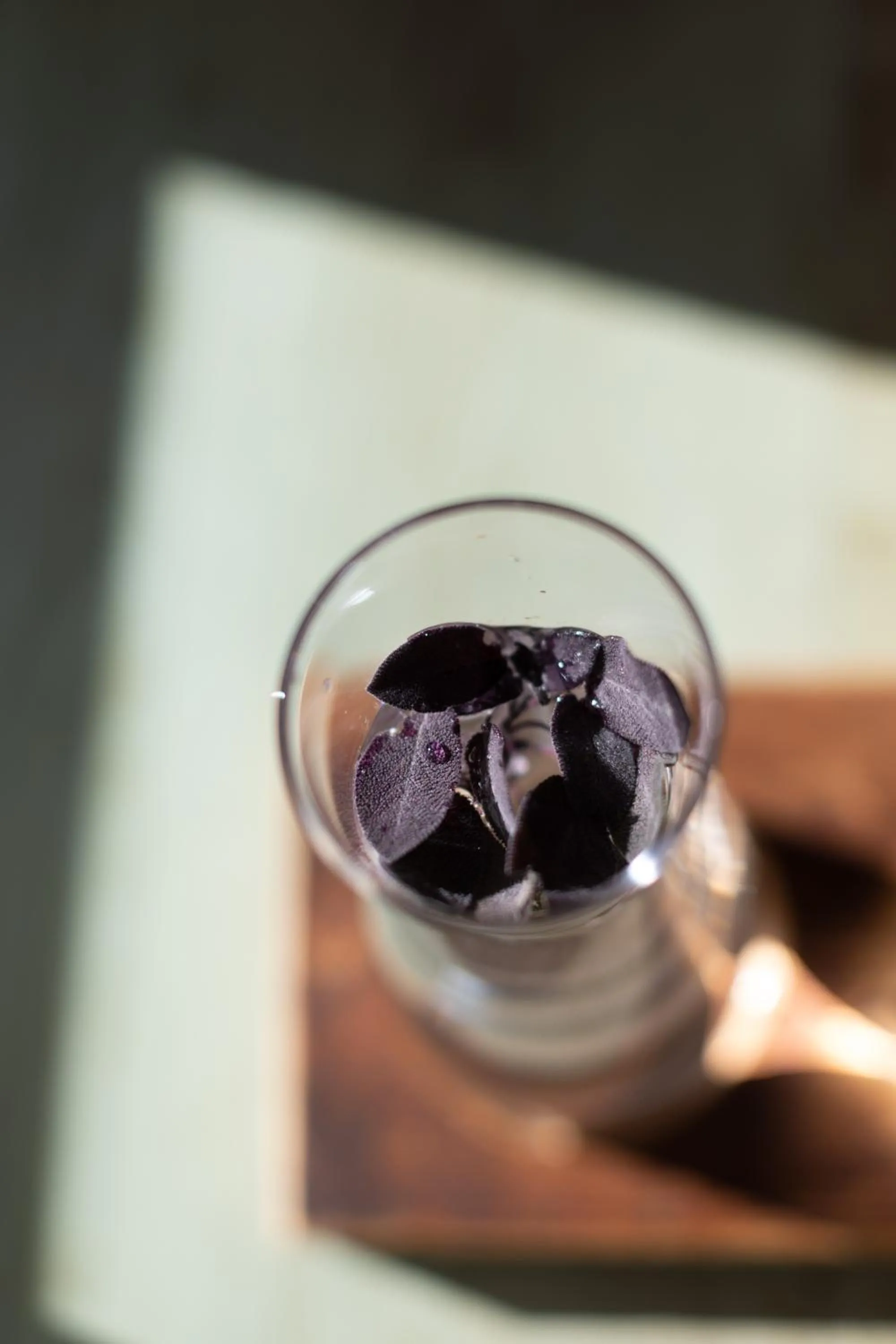 Drinks in Residence Walchhof