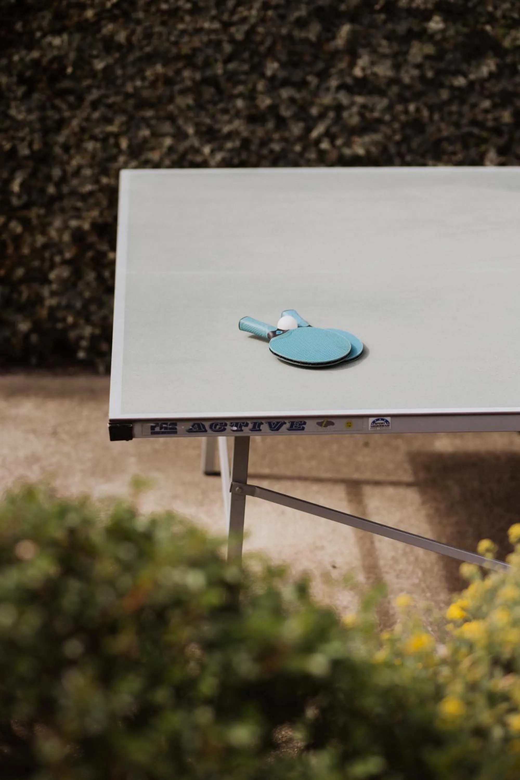 Table tennis in Residence Walchhof