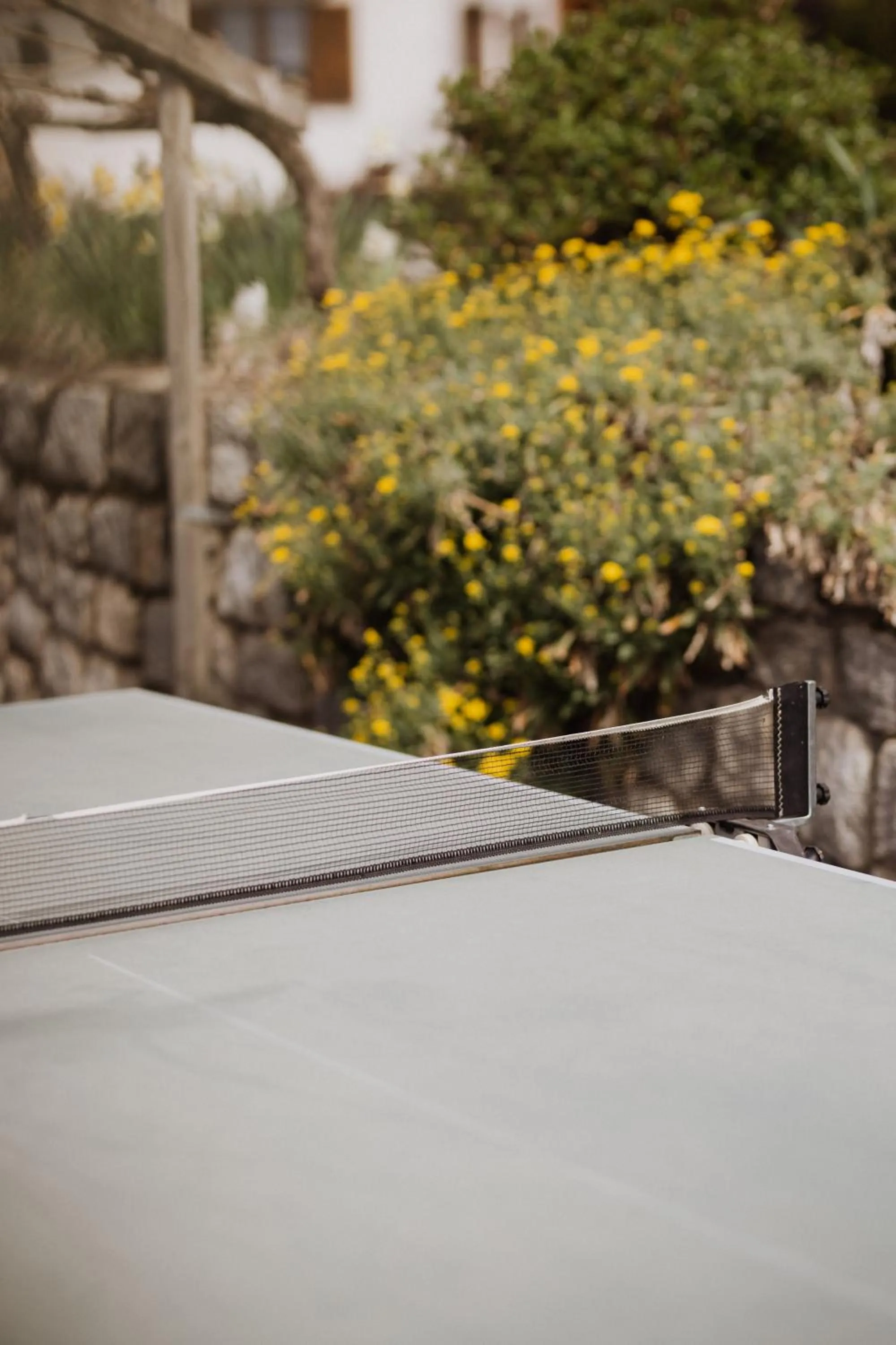 Table tennis in Residence Walchhof