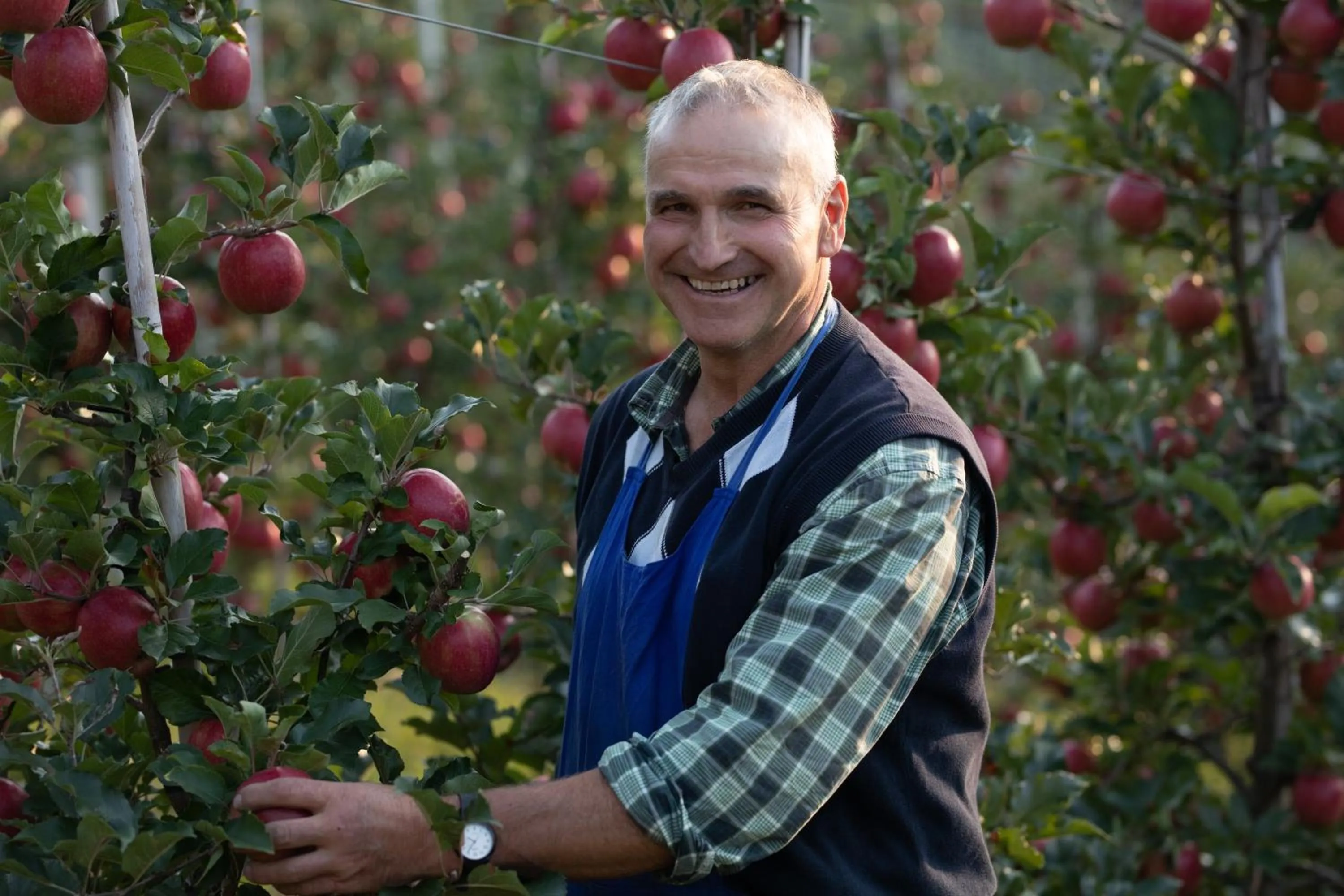 Family in Residence Walchhof