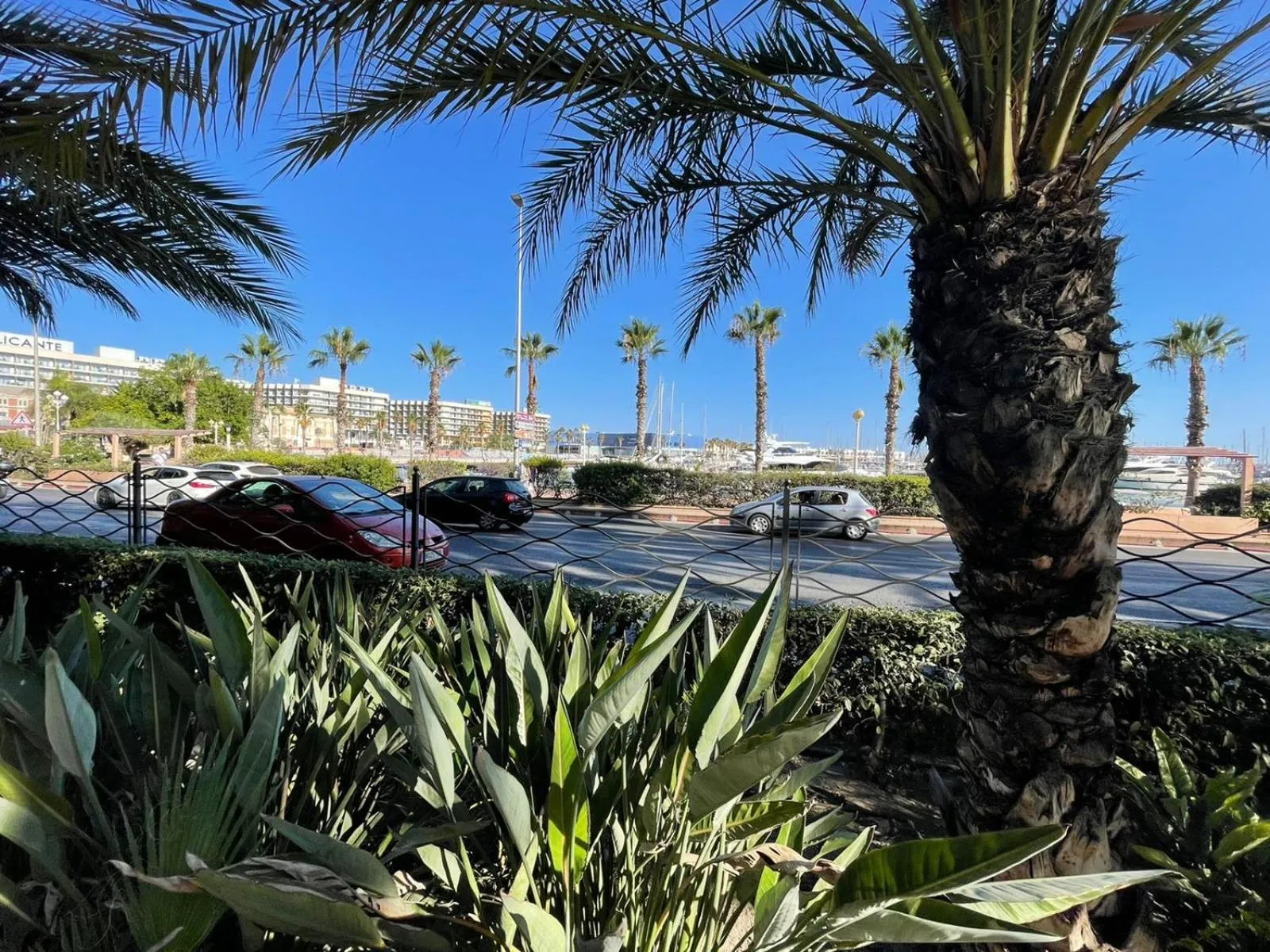 Natural landscape in Ventura Premium