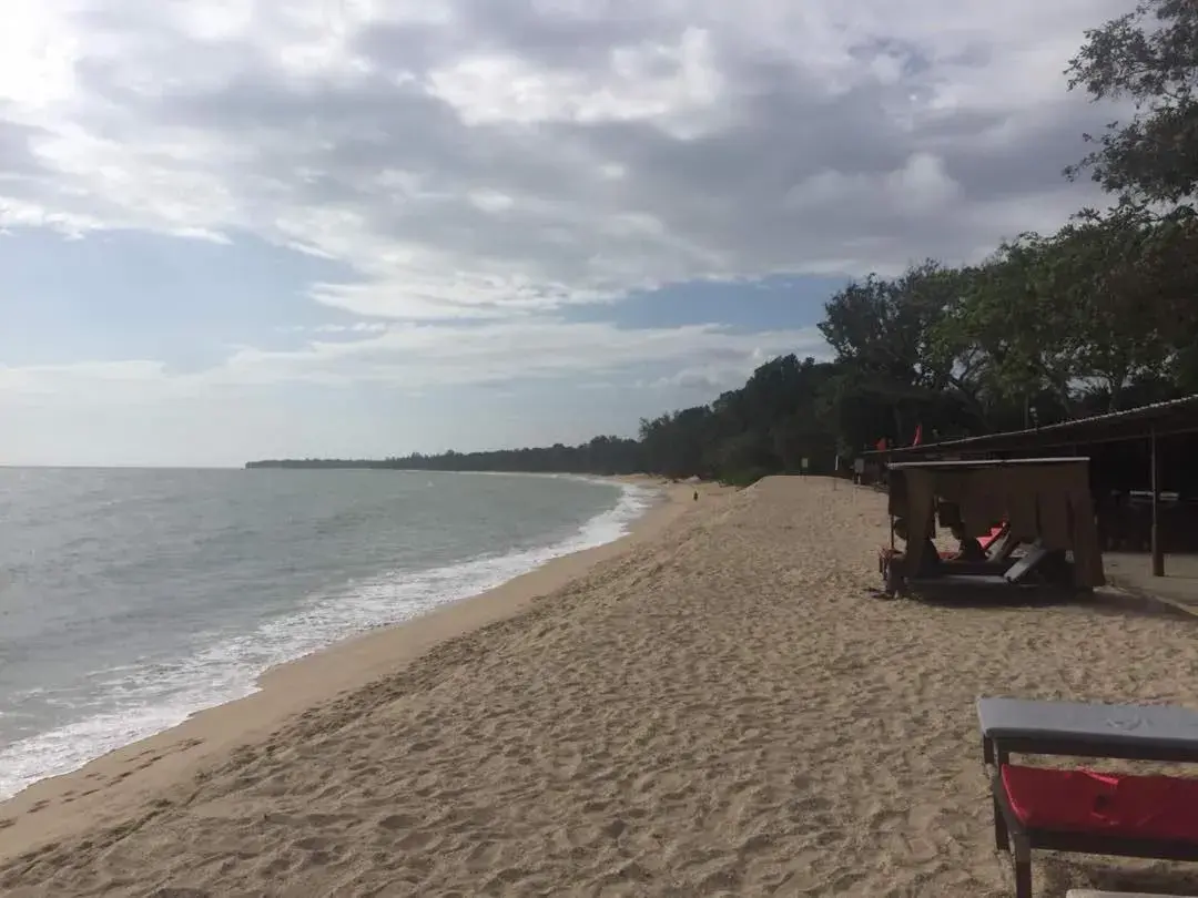 Beach in Residenz Apartments in Lotus Desaru Beach Resort Beach in Residenz Apartments in Lotus Desaru Beach Resort
