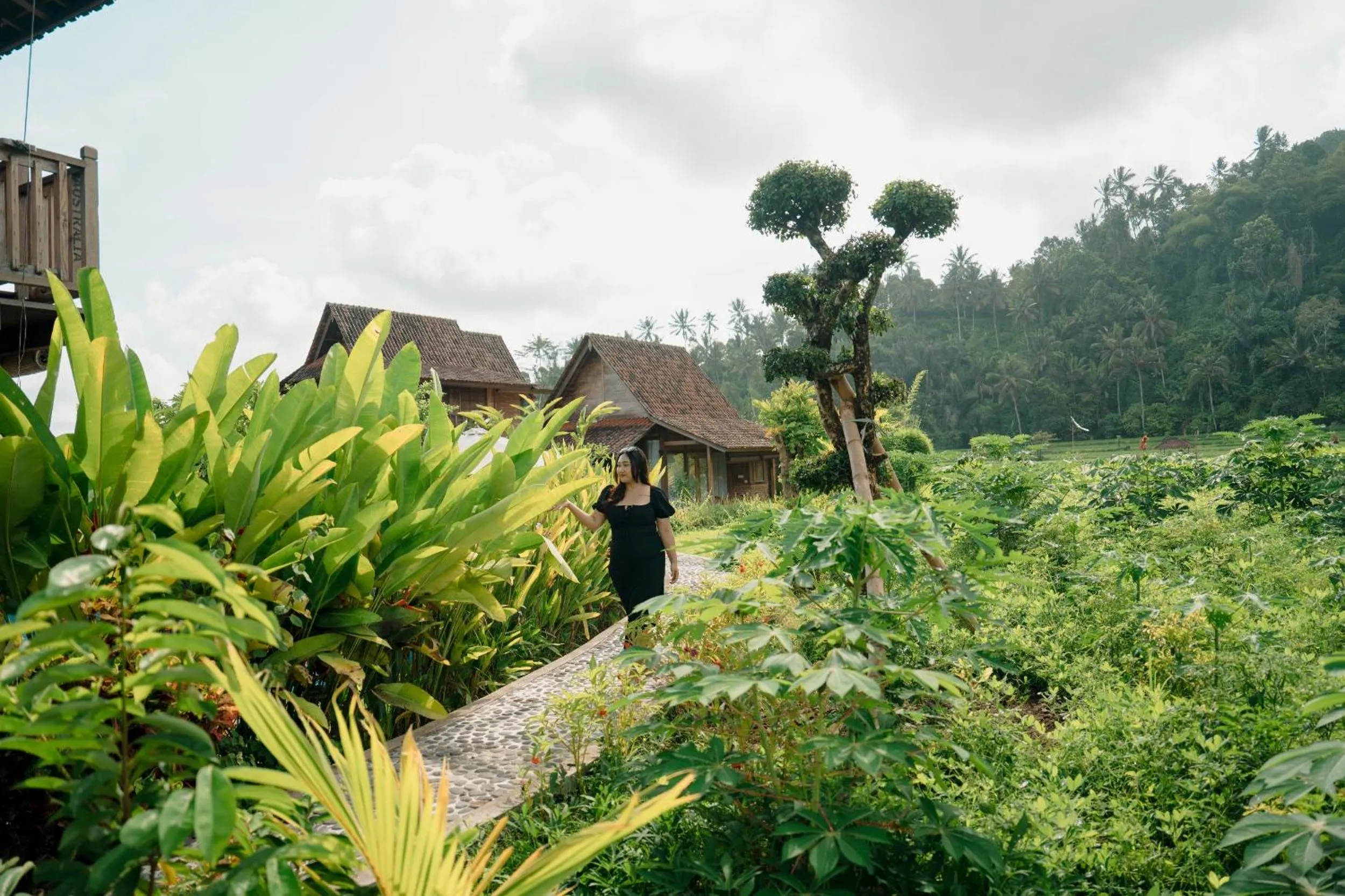 Garden in Kubu Sakian Villa and Restaurant Sidemen