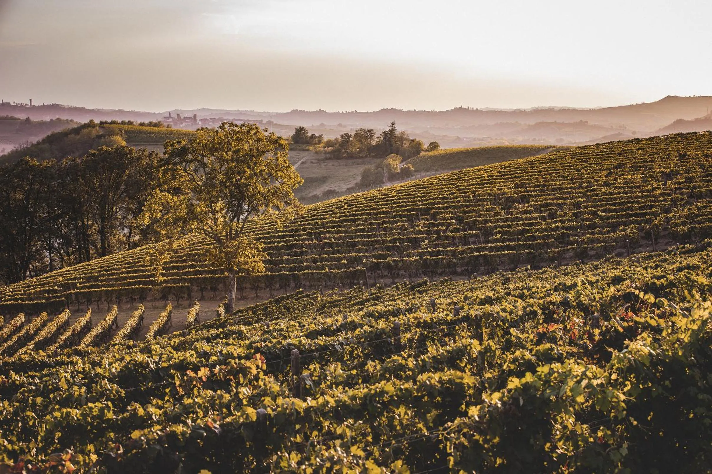 Villa Vinory Bricco di Nizza