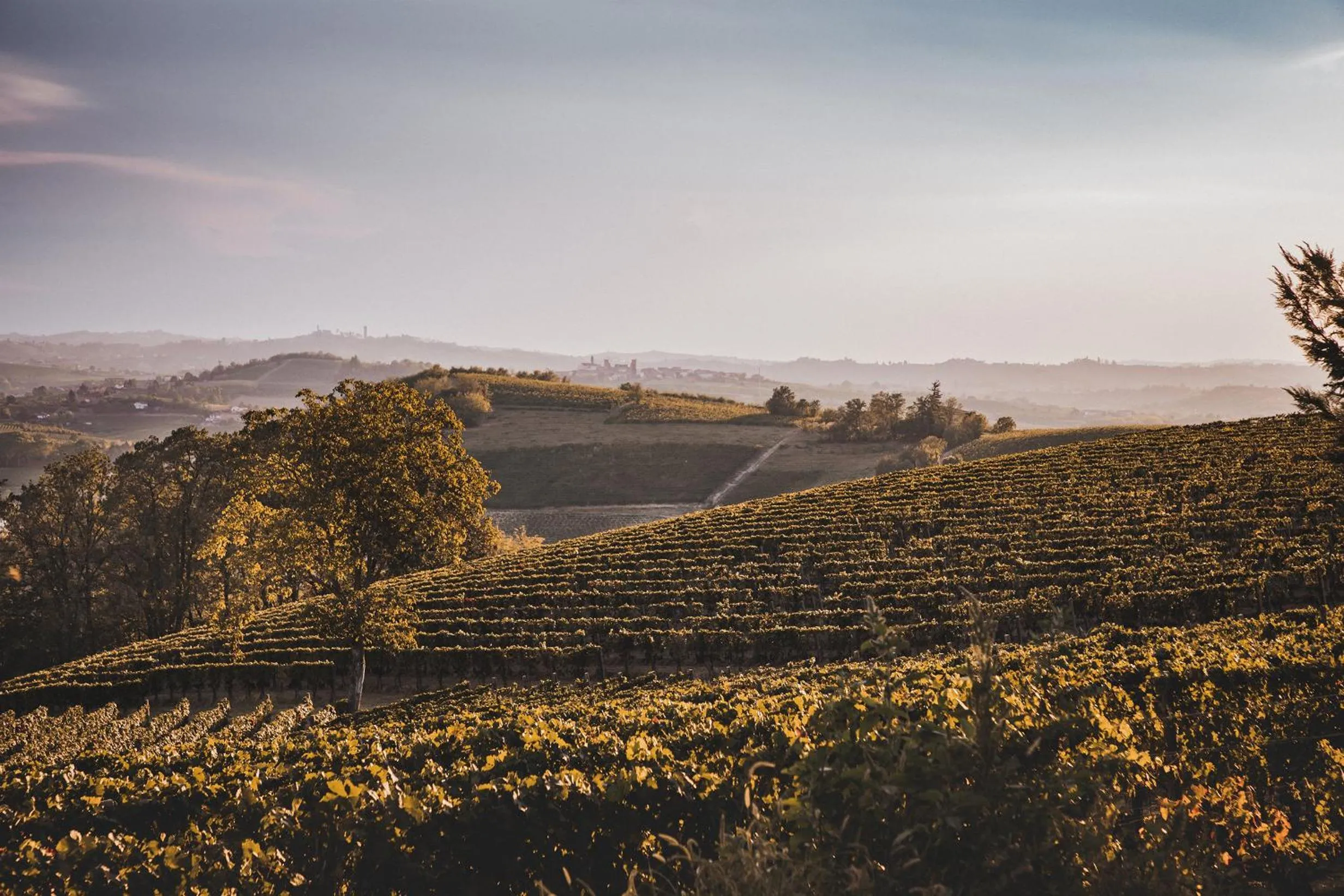 Villa Vinory Bricco di Nizza