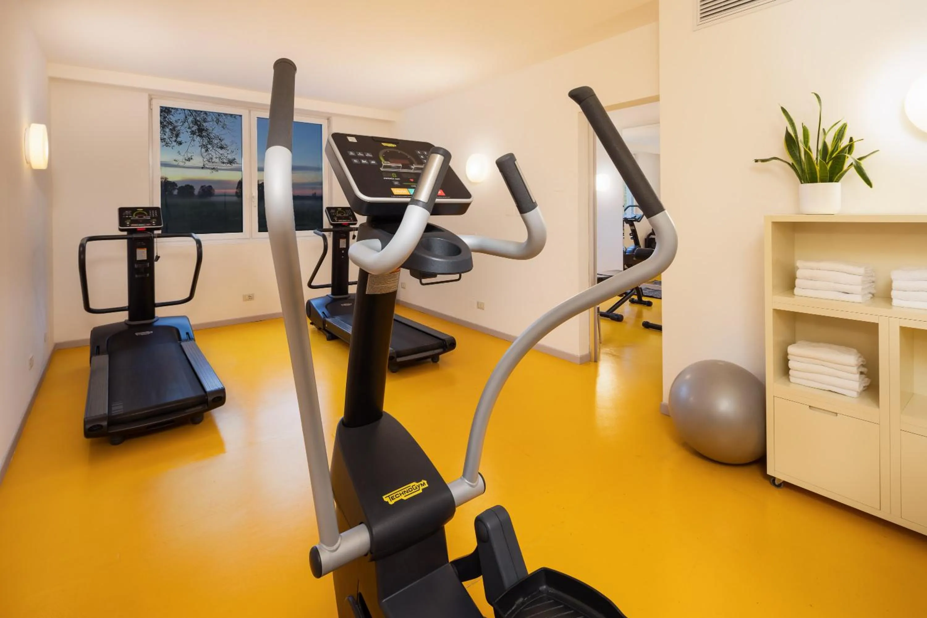 Fitness centre/facilities in Crowne Plaza Padova by IHG