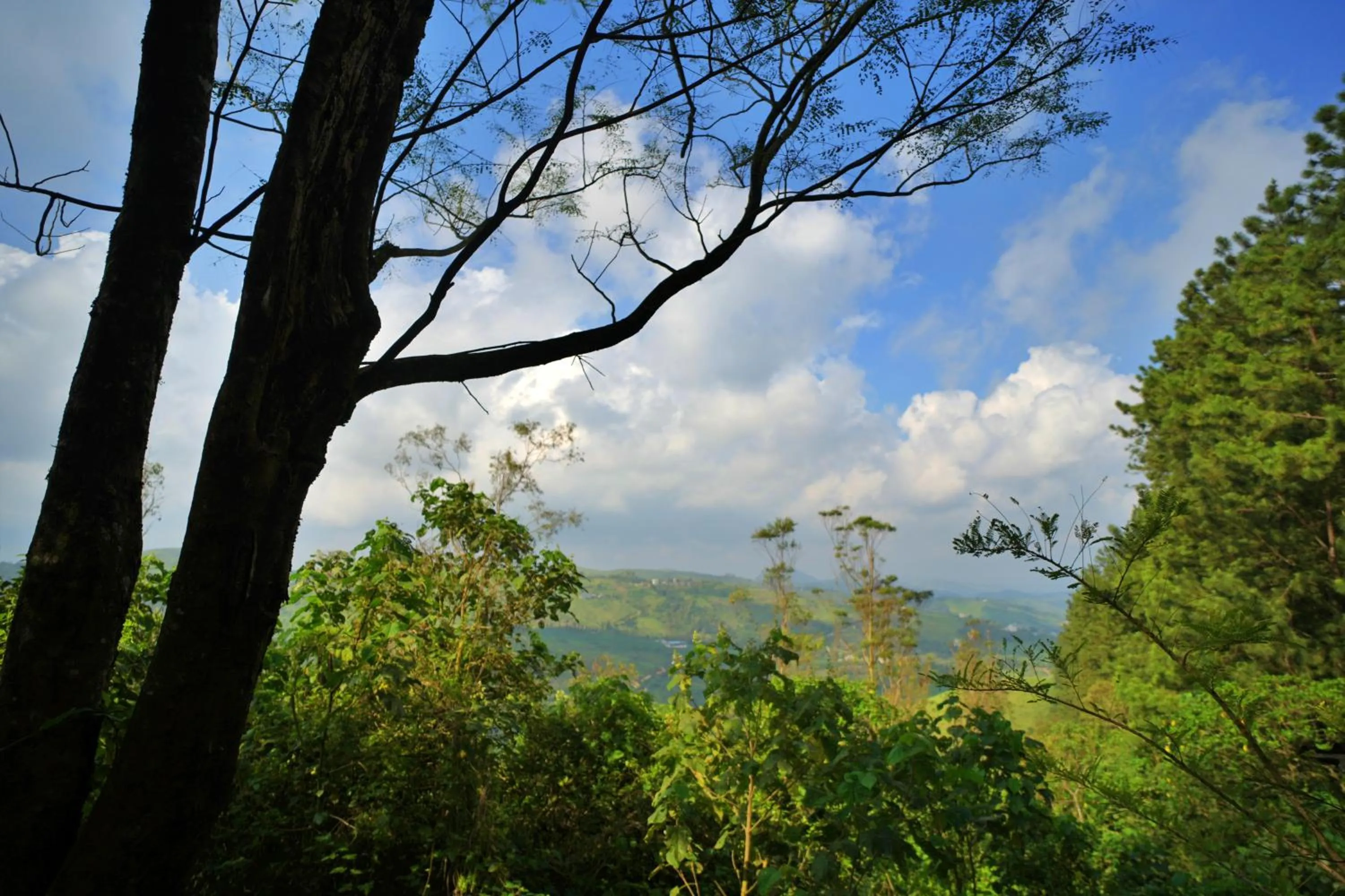 View (from property/room) in Adrak Summer Sand Hill Resort Vagamon