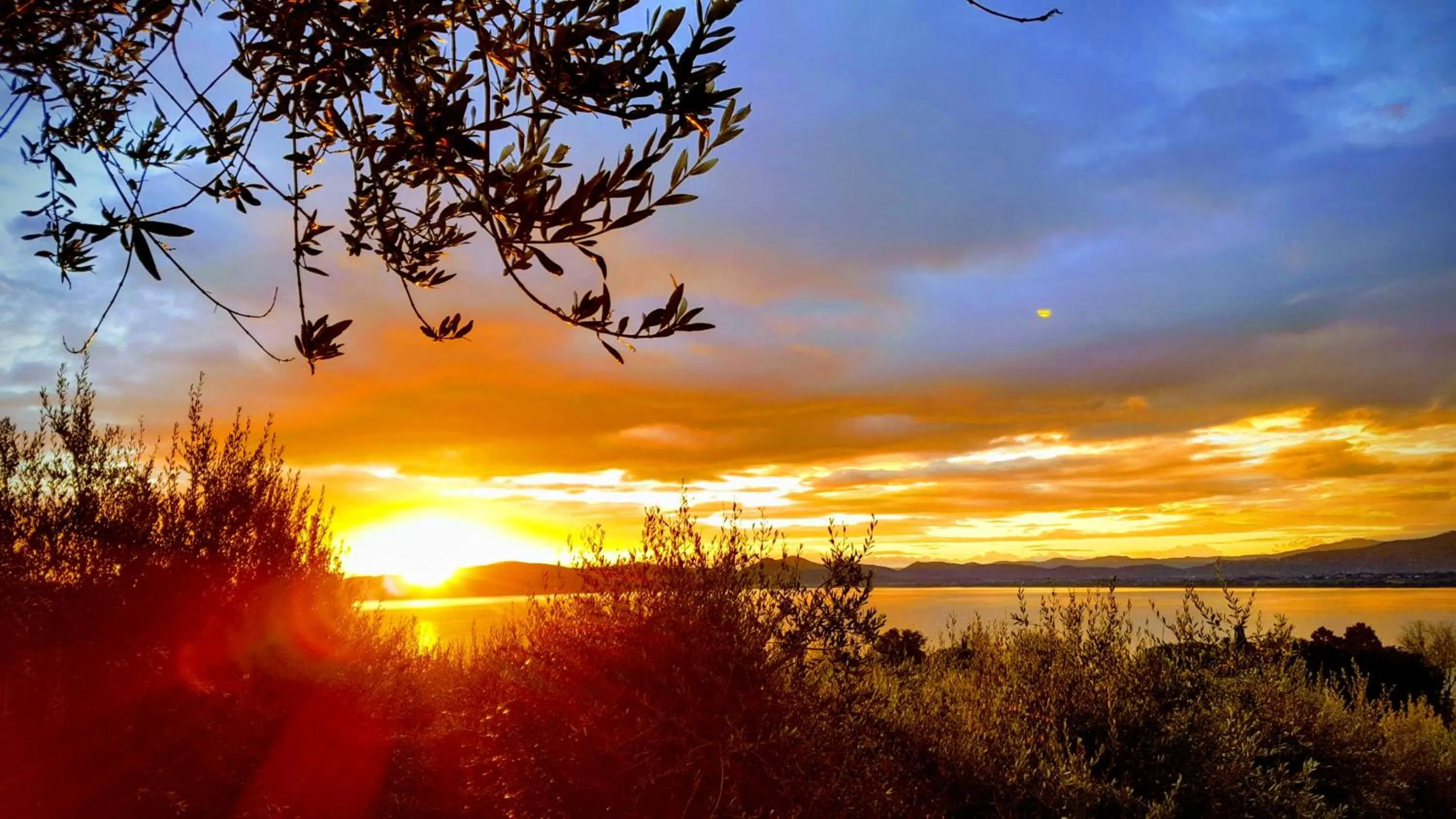 Natural landscape in Hotel La Torre
