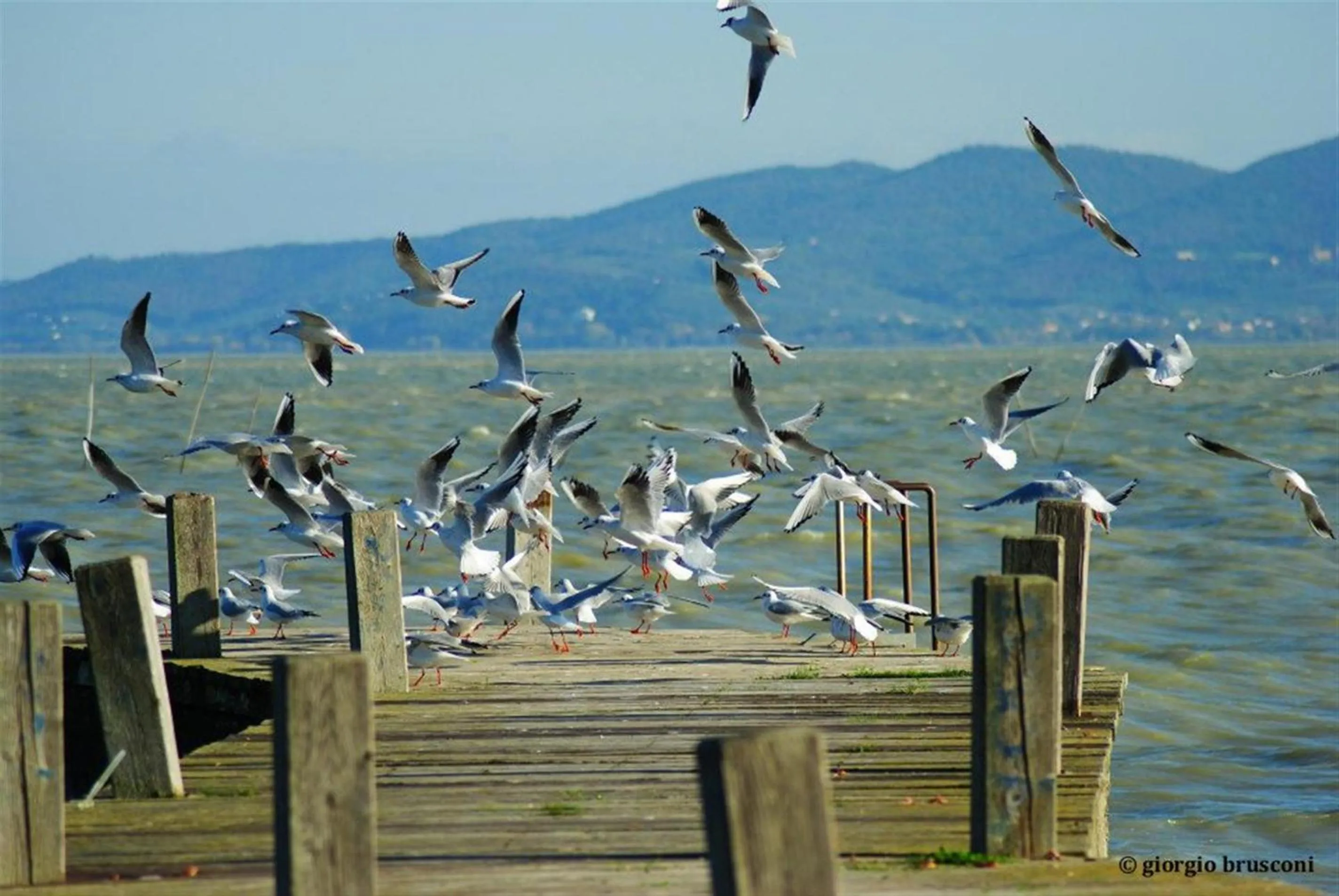 Area and facilities in Hotel La Torre
